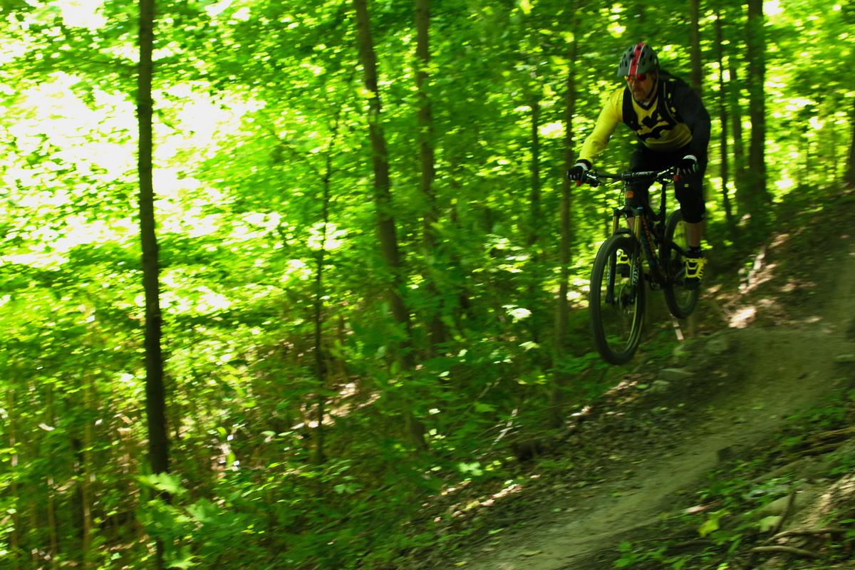 A mountain biker in a yellow and black outfit performs a jump on a dirt trail surrounded by lush green trees and foliage. Don Valley mountain bike trail.