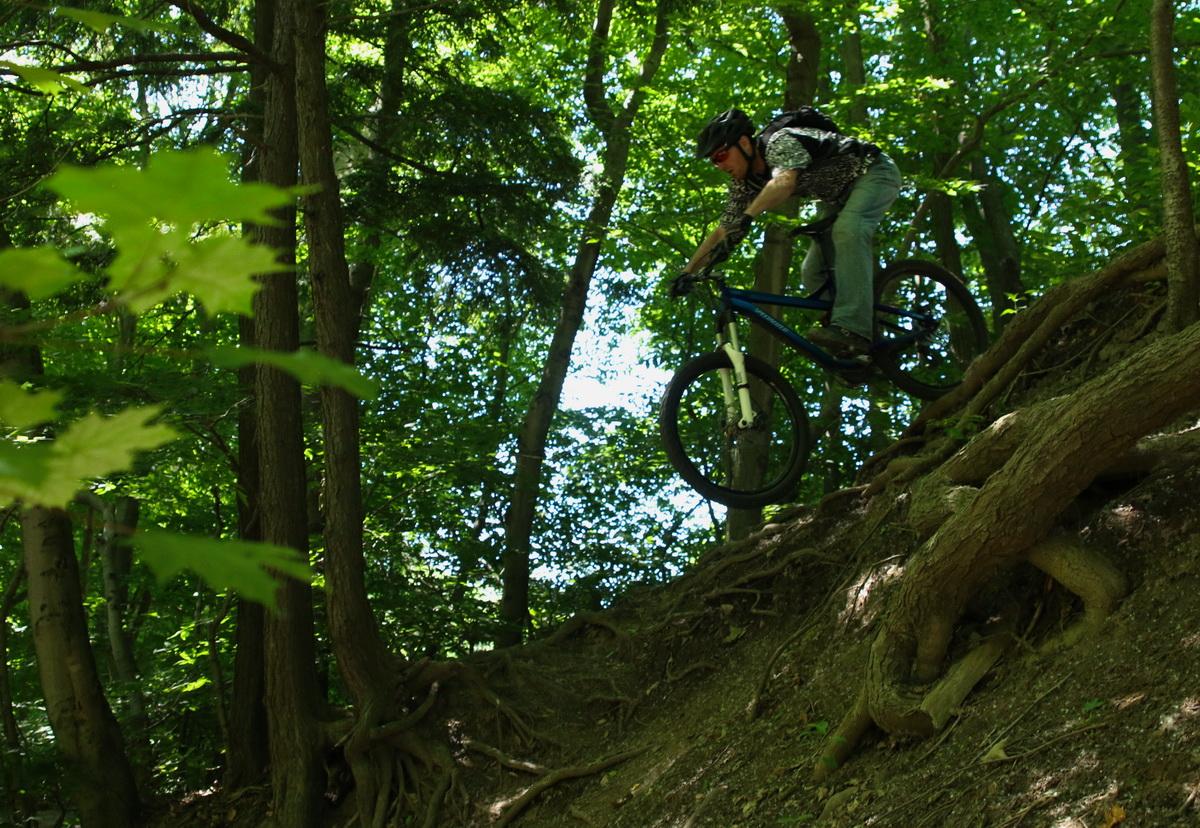 A mountain biker descends a steep, rocky slope in a dense forest, surrounded by green trees and sunlight filtering through the leaves. The cyclist is wearing a helmet and protective gear, showcasing an action-packed moment as they navigate the terrain. Don Valley mountain bike trail.
