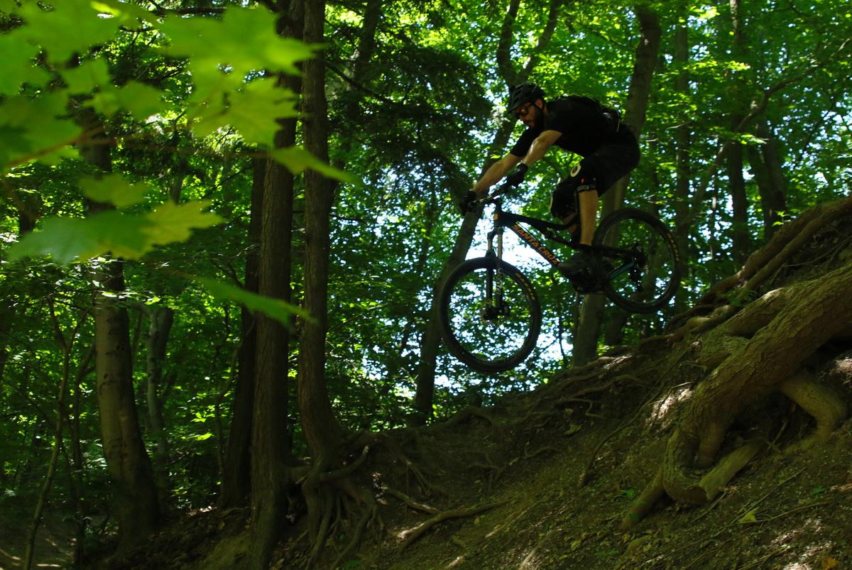 A mountain biker jumps off a dirt ramp in a lush green forest, surrounded by tall trees and vibrant foliage. The rider is captured in mid-air, showcasing their skills and balance while descending a rugged trail. Don Valley mountain bike trail.