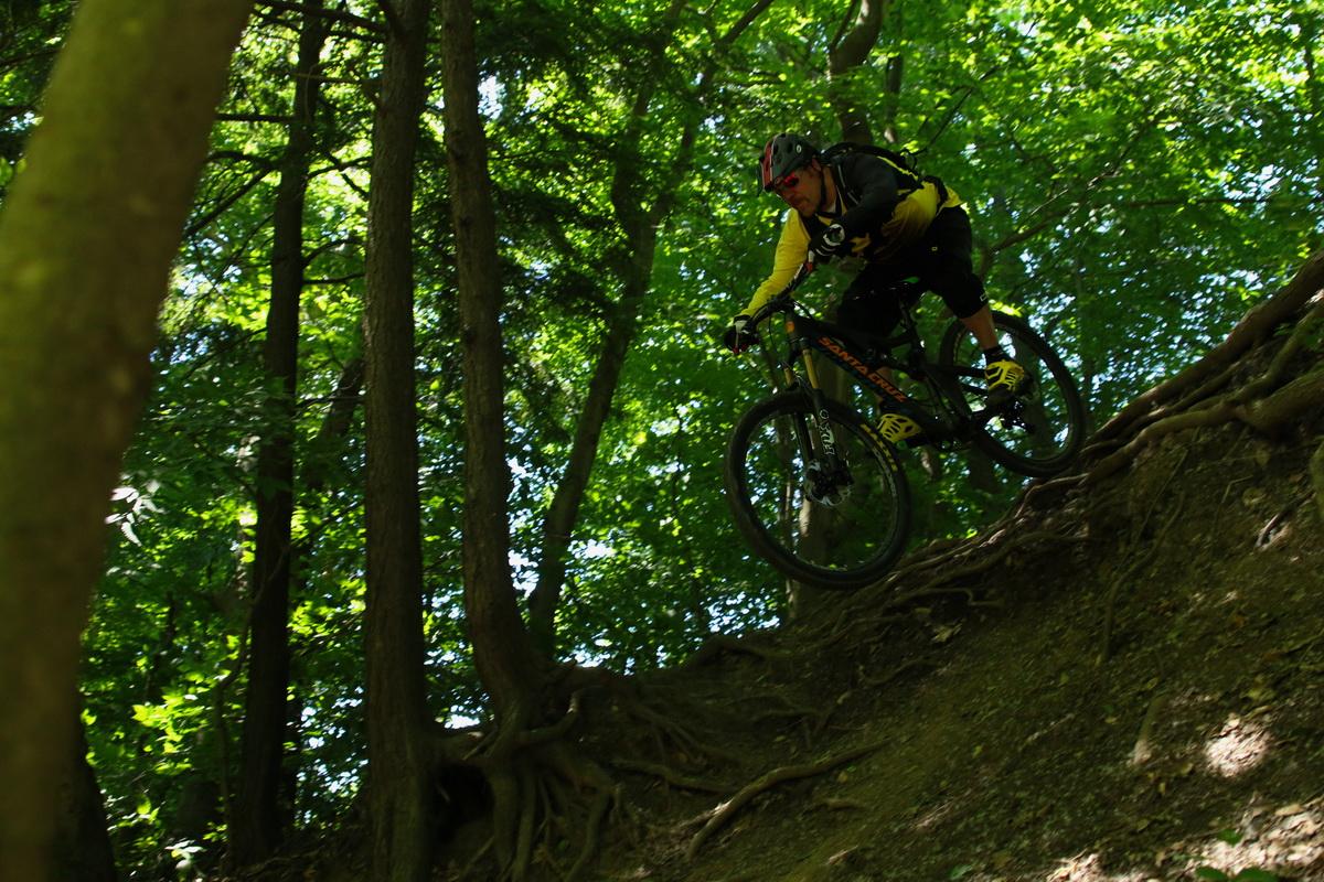 A mountain biker in yellow and black gear is jumping off a dirt trail in a lush green forest, surrounded by tall trees and undergrowth. The bike is mid-air, showcasing the rider's skills in navigating the rugged terrain. Don Valley mountain bike trail.