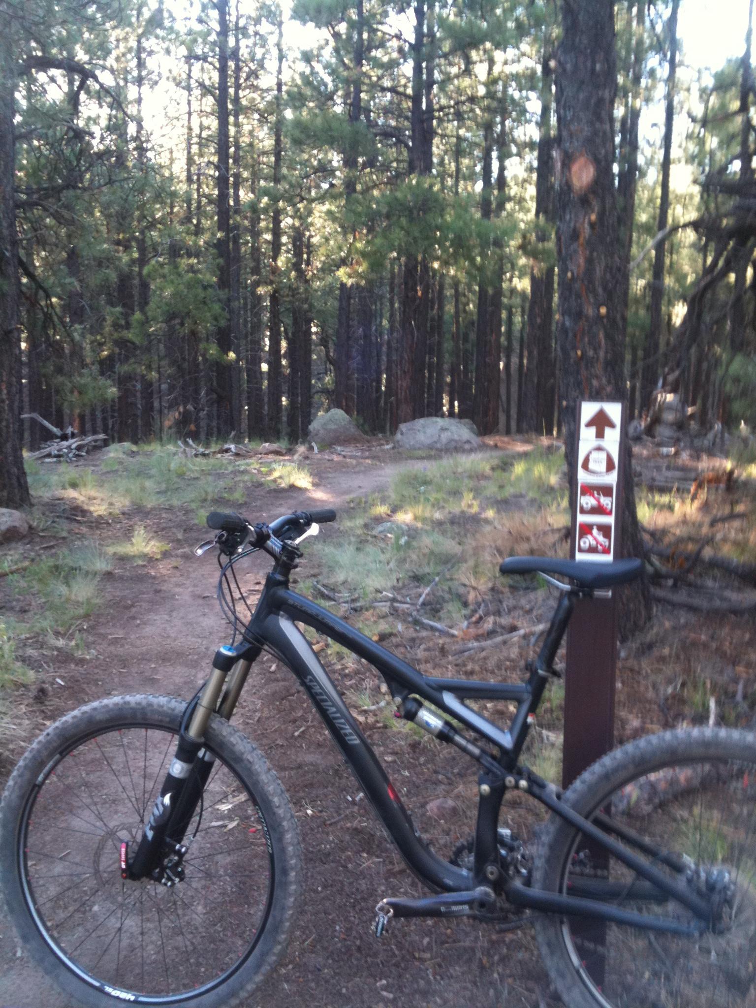 A black mountain bike is parked on a dirt path in a forest, with tall pine trees in the background. Beside the bike is a signpost indicating the trail direction and regulations for bike use. The setting is sunny, with dappled light filtering through the trees, creating a serene outdoor atmosphere. Arizona Trail: Flagstaff mountain bike trail.