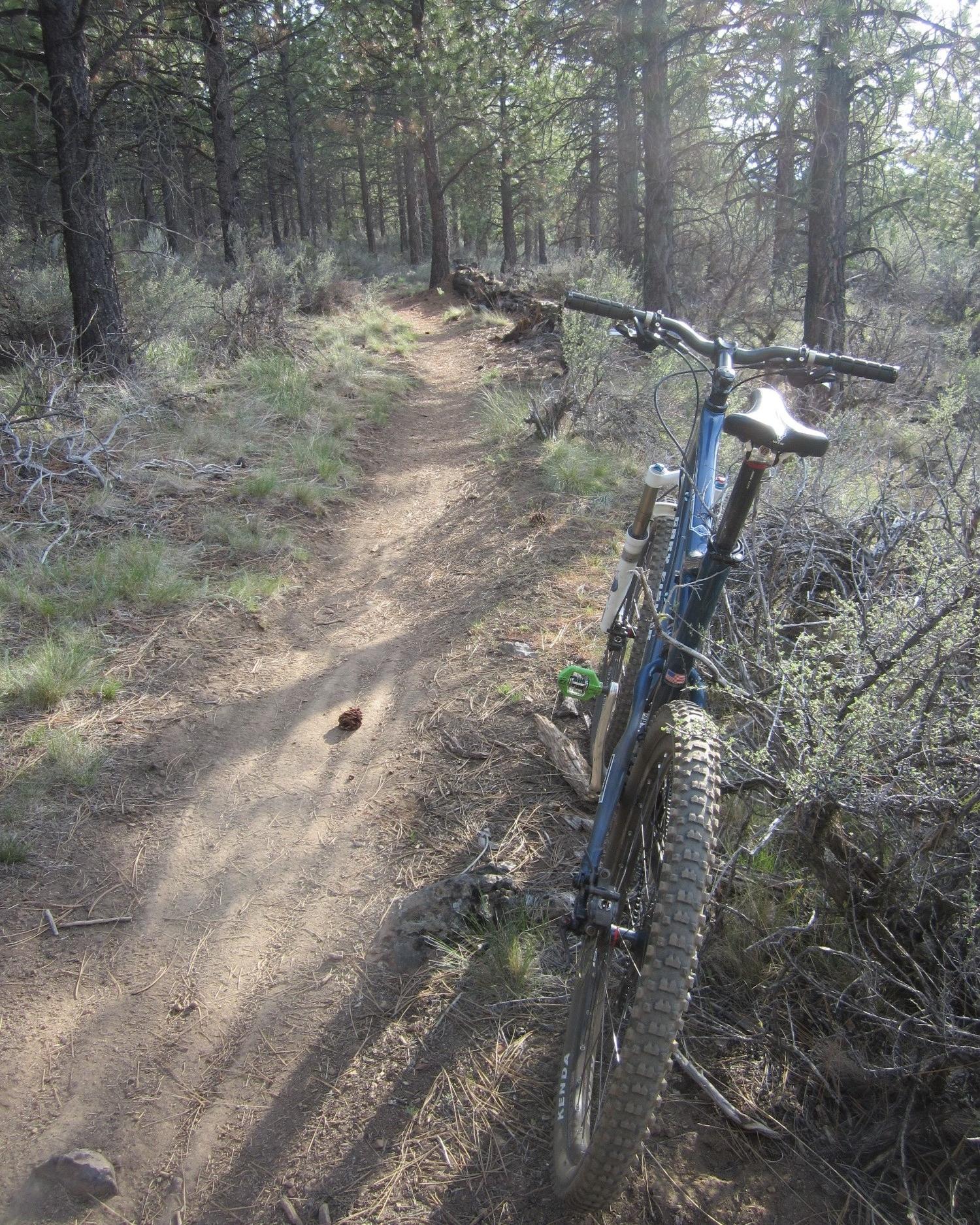 A mountain bike resting on a dirt trail in a forested area, surrounded by trees and shrubs, with sunlight filtering through the branches. The path winds into the distance, indicating a scenic route through nature. Peterson Ridge Loop mountain bike trail.