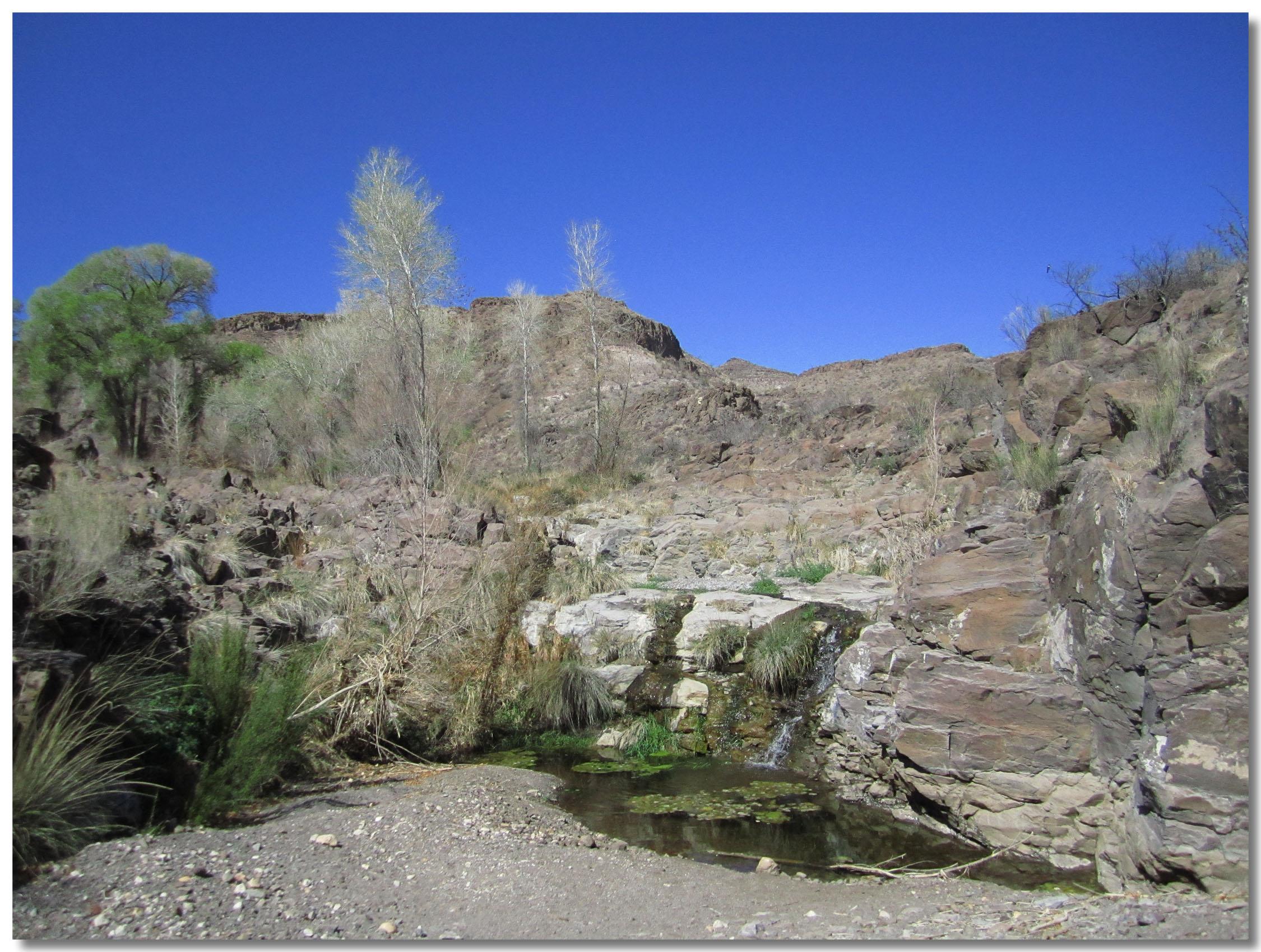 A rocky landscape featuring a small, serene pool of water surrounded by stones and sparse vegetation. Light green trees rise in the background against a clear blue sky, with some dry grasses and rocks visible in the foreground. The scene captures a tranquil and natural environment. Big Bend State Park mountain bike trail.