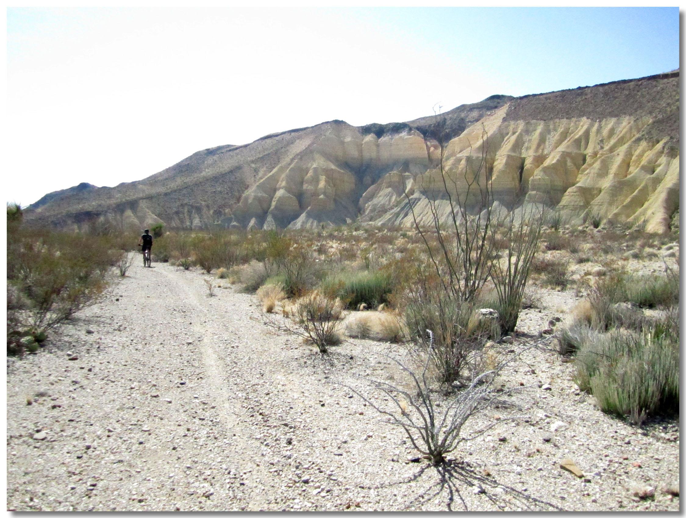 A cyclist rides on a gravel path surrounded by desert vegetation, with distinctive layered rock formations in the background under a clear sky. Big Bend State Park mountain bike trail.