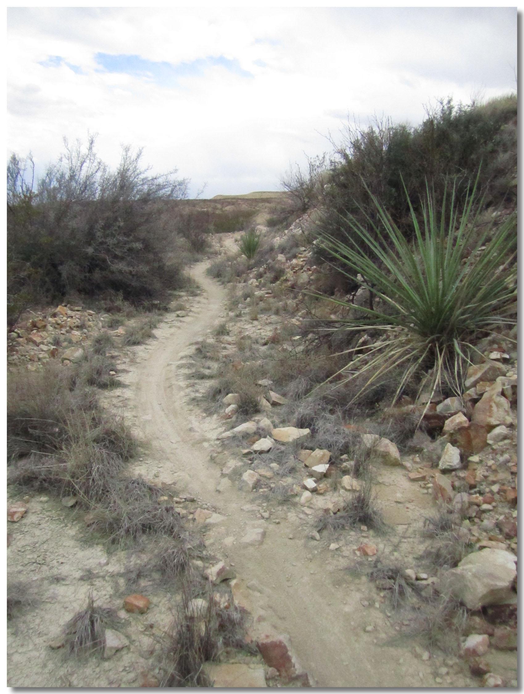 A winding dirt path leading through a rocky landscape, bordered by sparse vegetation and desert plants under a cloudy sky. Big Bend State Park mountain bike trail.