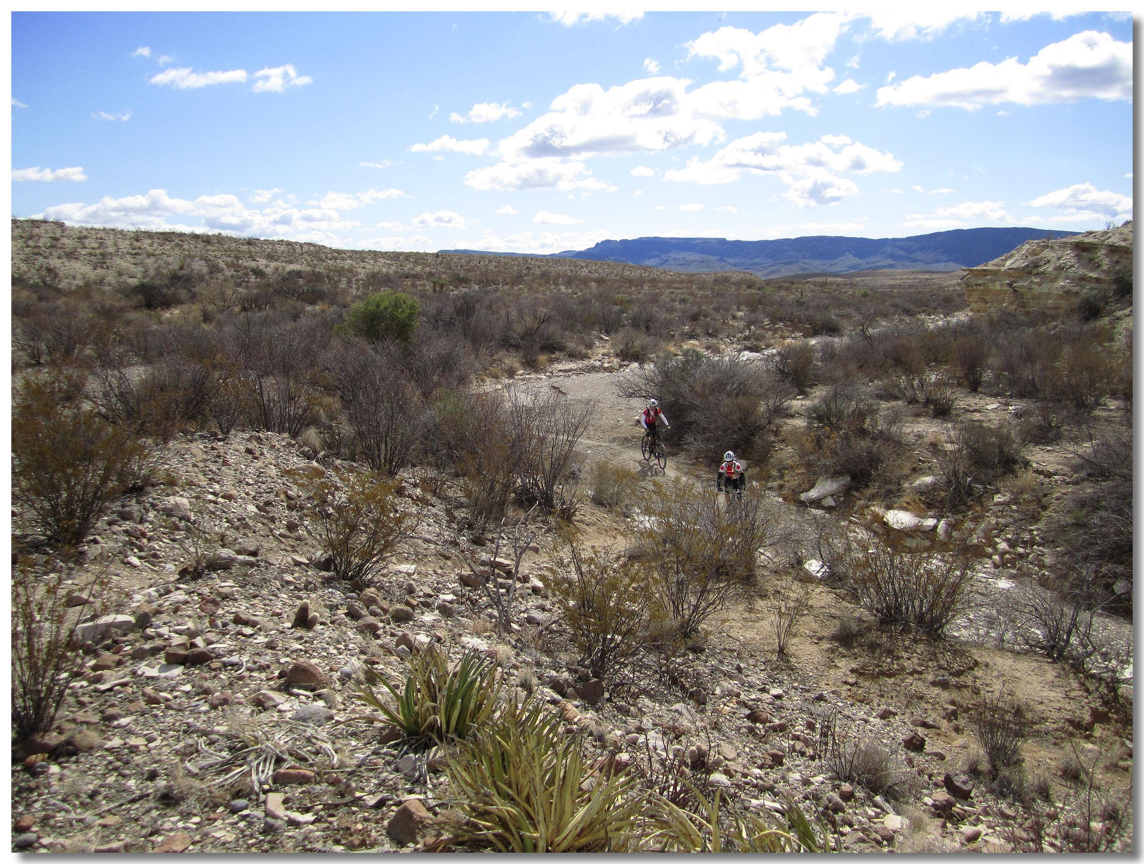 Two cyclists navigate a rugged, arid landscape with sparse vegetation and rocky terrain under a partly cloudy sky. Mountains are visible in the background, and the scene captures the essence of outdoor adventure in nature. Big Bend Ranch State Park mountain bike trail.