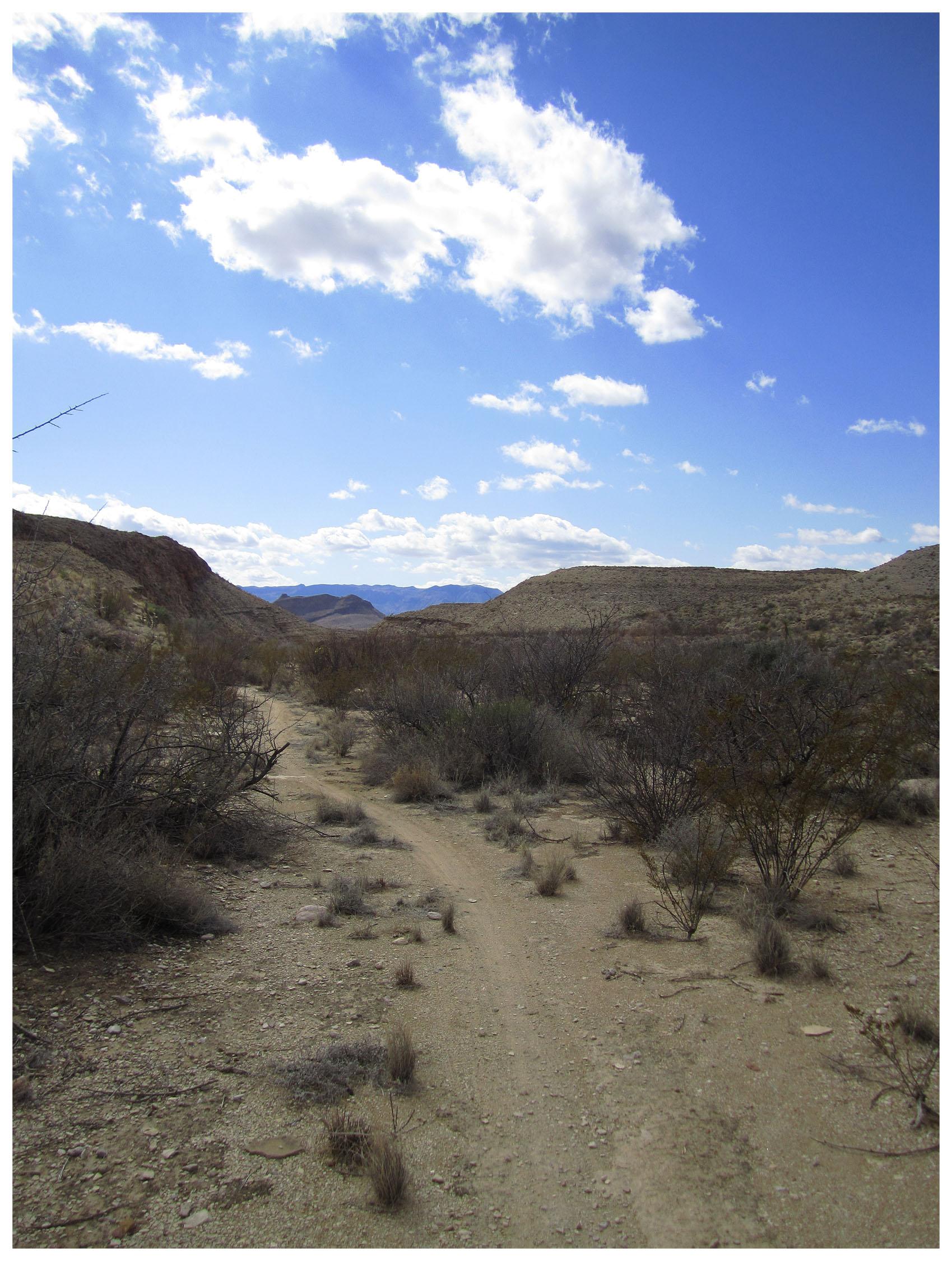 A dusty trail winds through a desert landscape, surrounded by sparse vegetation and low shrubs under a bright blue sky filled with fluffy white clouds. The rugged terrain features distant hills and mountains, providing a sense of vastness and tranquility. Big Bend Ranch State Park mountain bike trail.