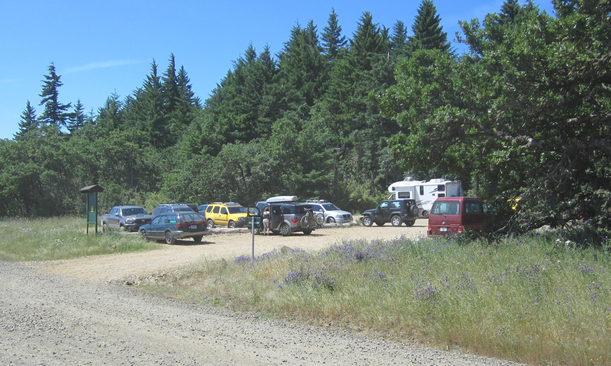 A rustic parking area surrounded by tall trees and grassy fields, filled with various parked vehicles, including cars, SUVs, and a camper. A small informational sign is visible near the edge of the lot, and wildflowers grow in the foreground under a clear blue sky. Whoopdee mountain bike trail.