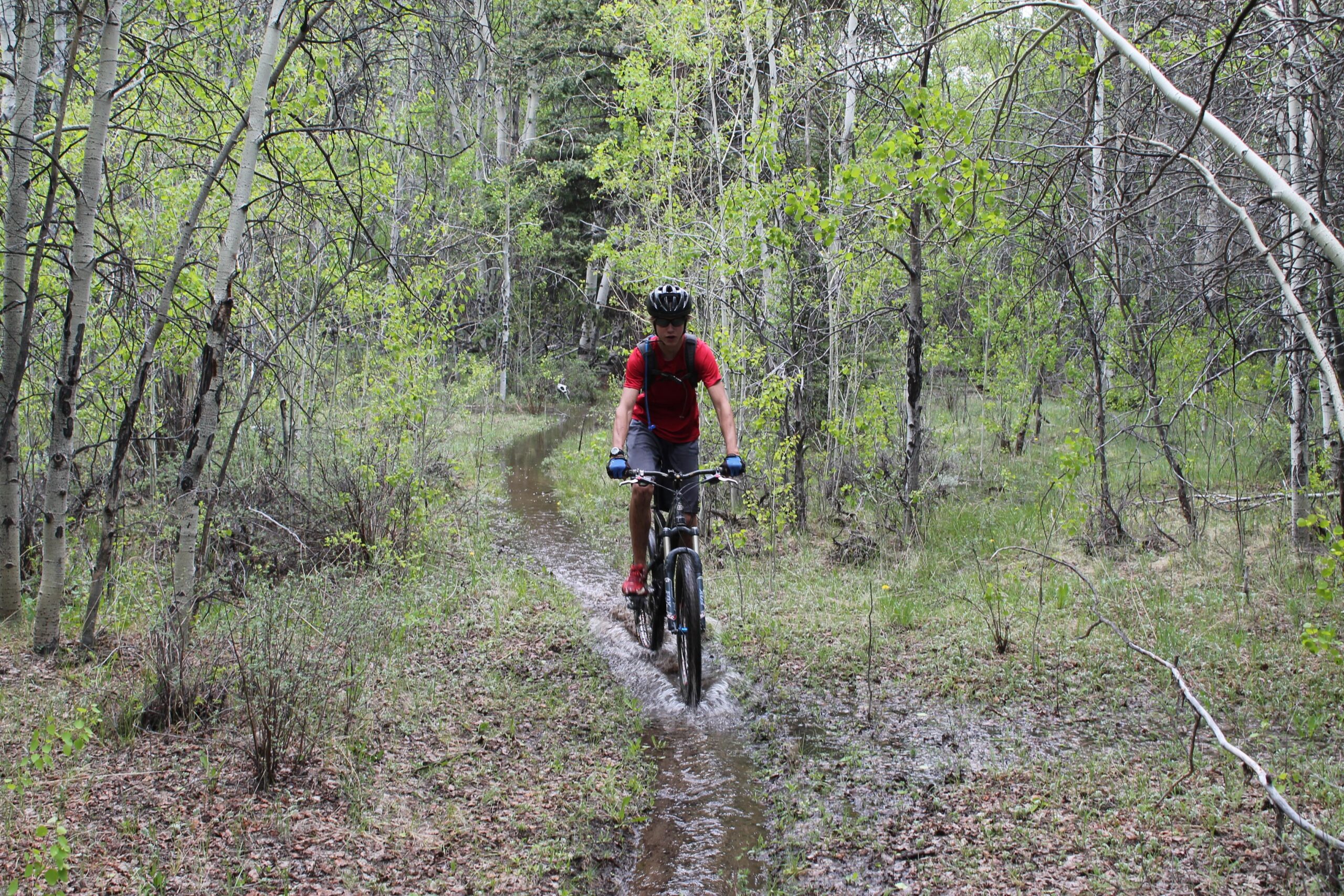 A person riding a mountain bike through a wooded trail, surrounded by green foliage and trees. The trail is slightly flooded with water, and the cyclist is wearing a helmet, a red shirt, and is focused on navigating the path. Twin Lakes Loop mountain bike trail.