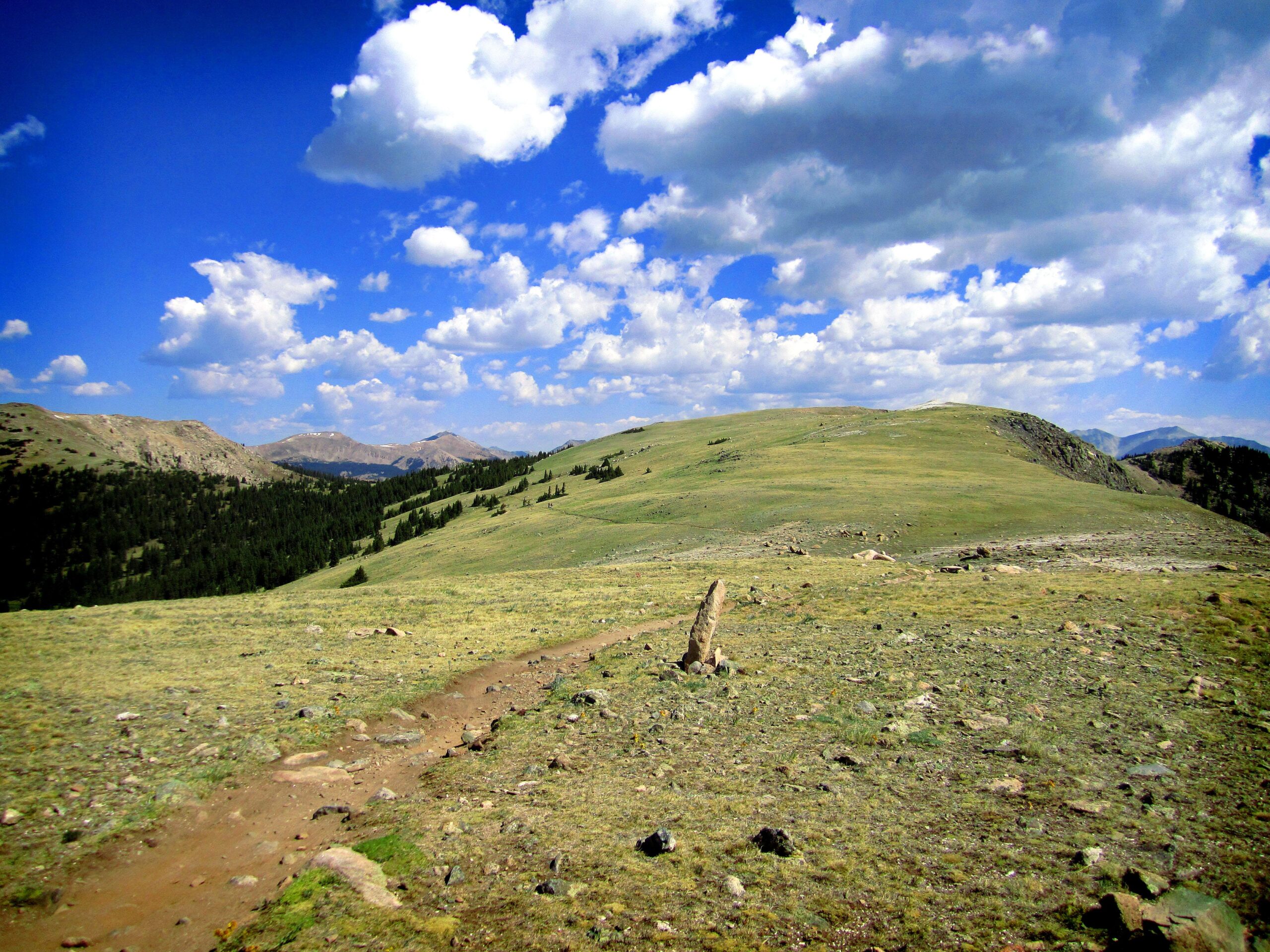 A scenic view of a mountainous landscape, featuring rolling green hills under a bright blue sky with fluffy white clouds. A winding dirt path leads through the terrain, surrounded by rocky surfaces and patches of grass. In the distance, snow-capped peaks are visible amid the lush greenery and dense forests. Monarch Crest Trail mountain bike trail.