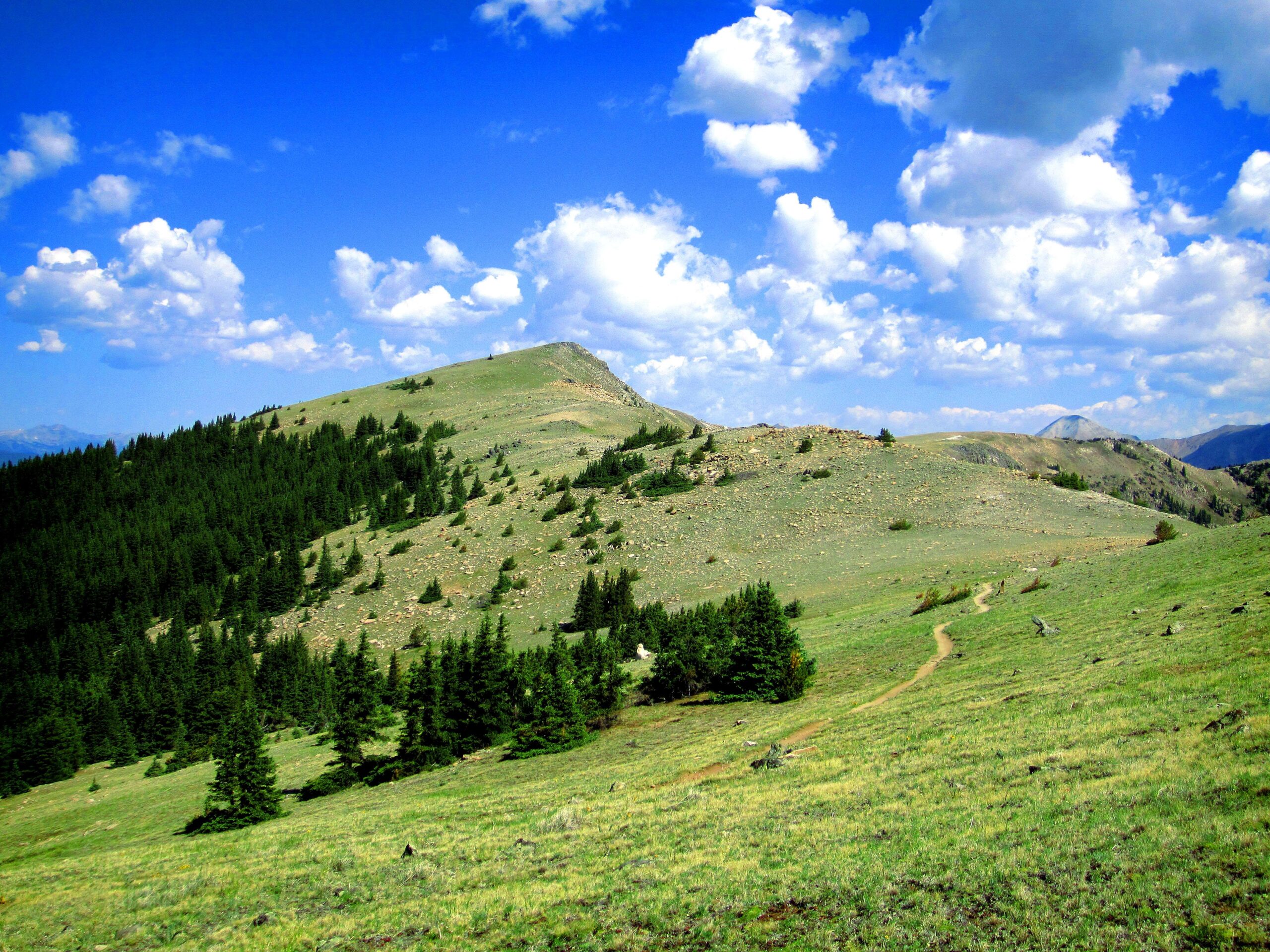 A landscape featuring rolling green hills dotted with rocks and trees, stretching under a bright blue sky filled with fluffy white clouds. A winding dirt path leads through the grassy terrain, providing a sense of serene nature. Monarch Crest Trail mountain bike trail.