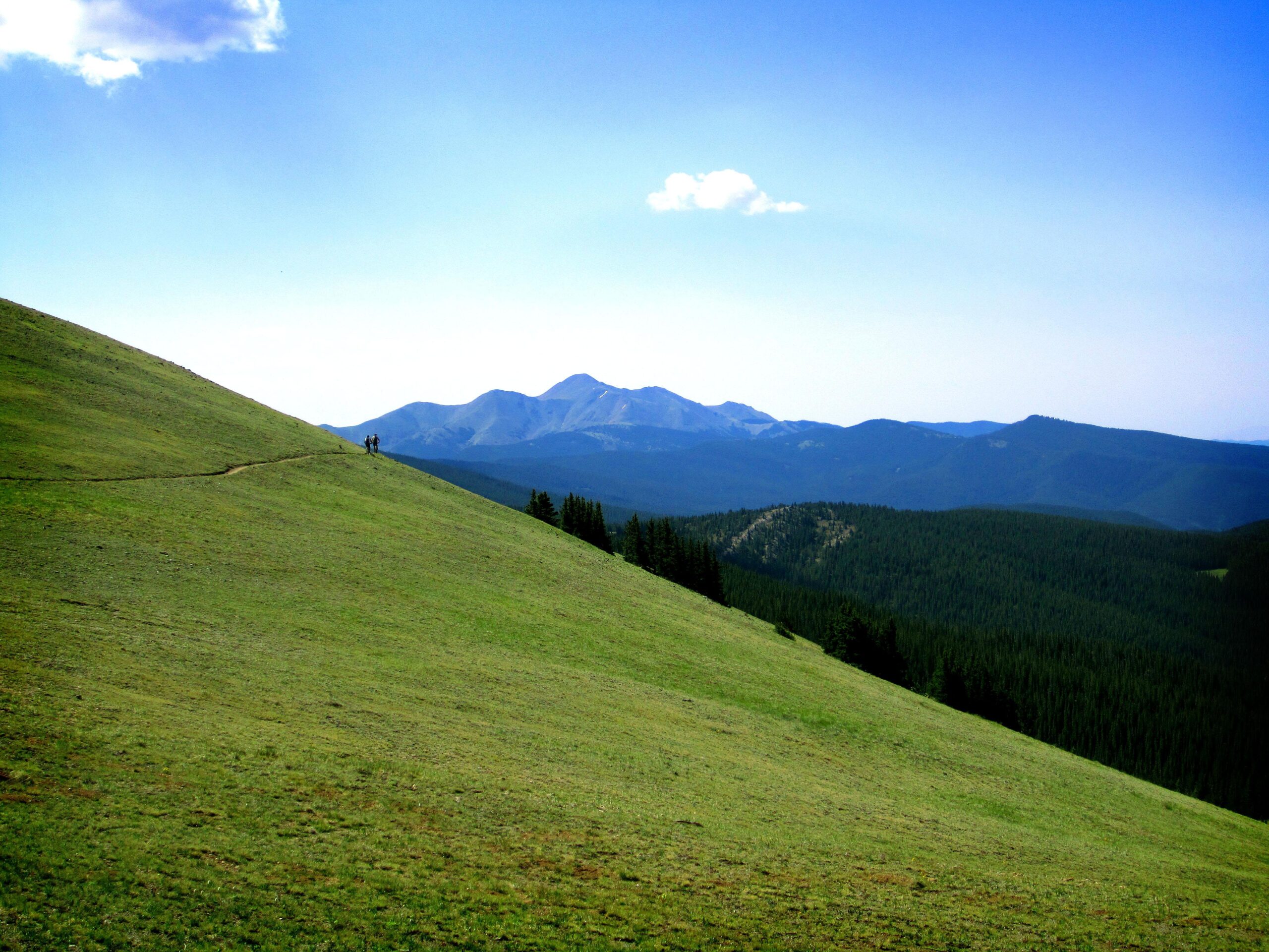 Two hikers ascend a grassy hillside, surrounded by lush green meadows and distant mountains under a clear blue sky. Monarch Crest Trail mountain bike trail.