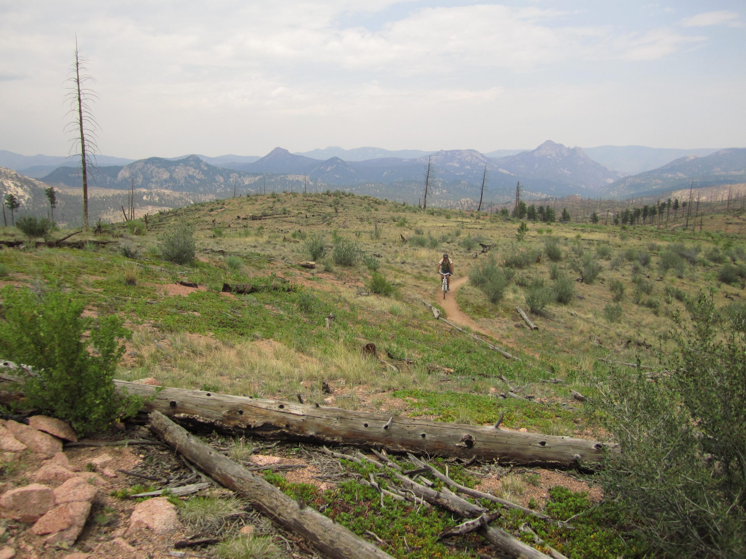 A person riding a bicycle along a dirt trail in a scenic mountainous landscape, surrounded by green vegetation and fallen logs. The background features rugged mountain peaks under a cloudy sky. Buffalo Creek mountain bike trail.