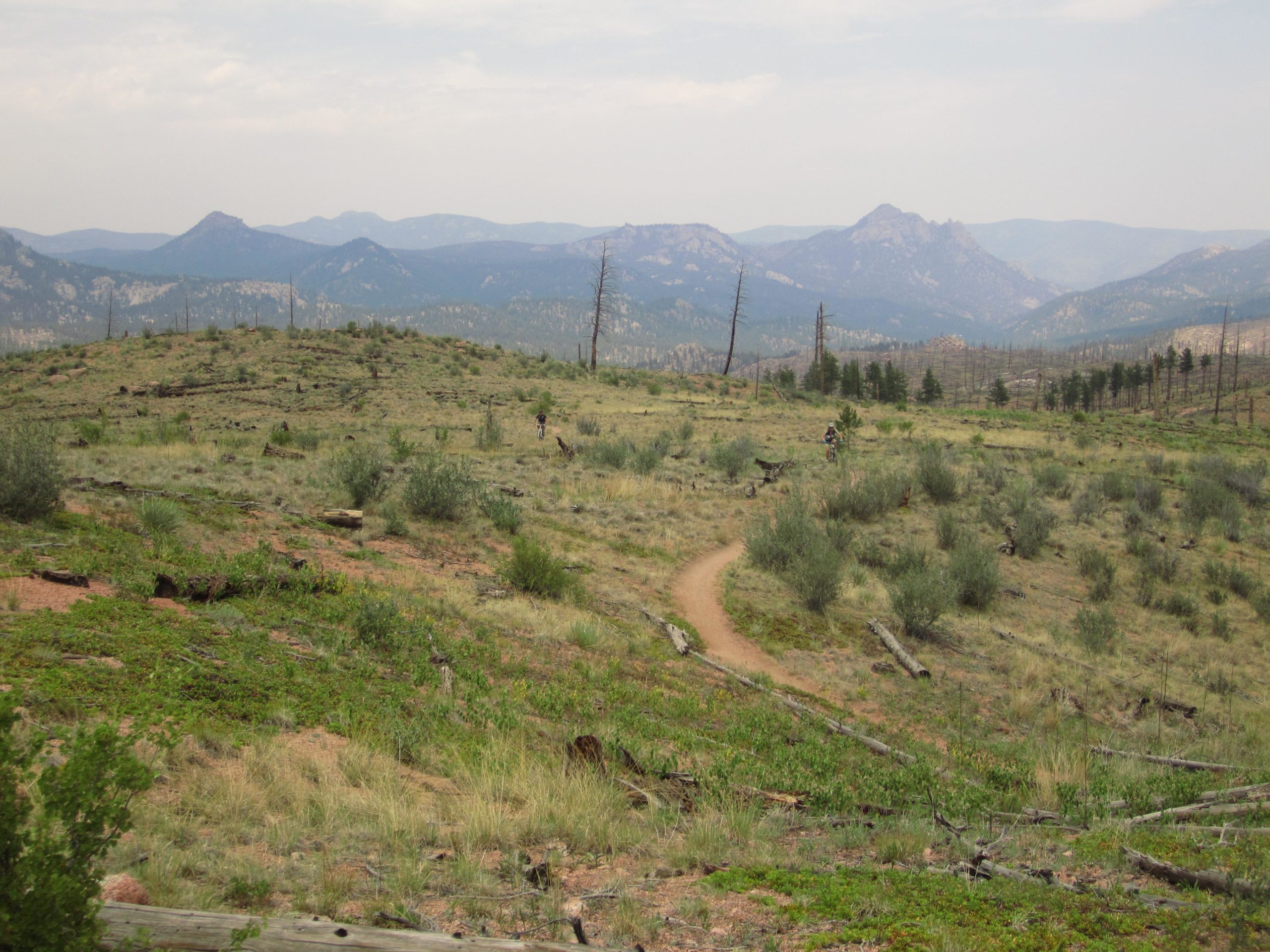 A vast, open landscape featuring rolling hills covered in sparse grass and small shrubs. In the background, a range of mountains is visible under a hazy sky. A winding dirt path meanders through the foreground, where a few cyclists can be seen in the distance, highlighting the natural beauty of outdoor recreation in this serene environment. Scattered logs and remnants of trees indicate previous growth, adding texture to the scene. Buffalo Creek mountain bike trail.