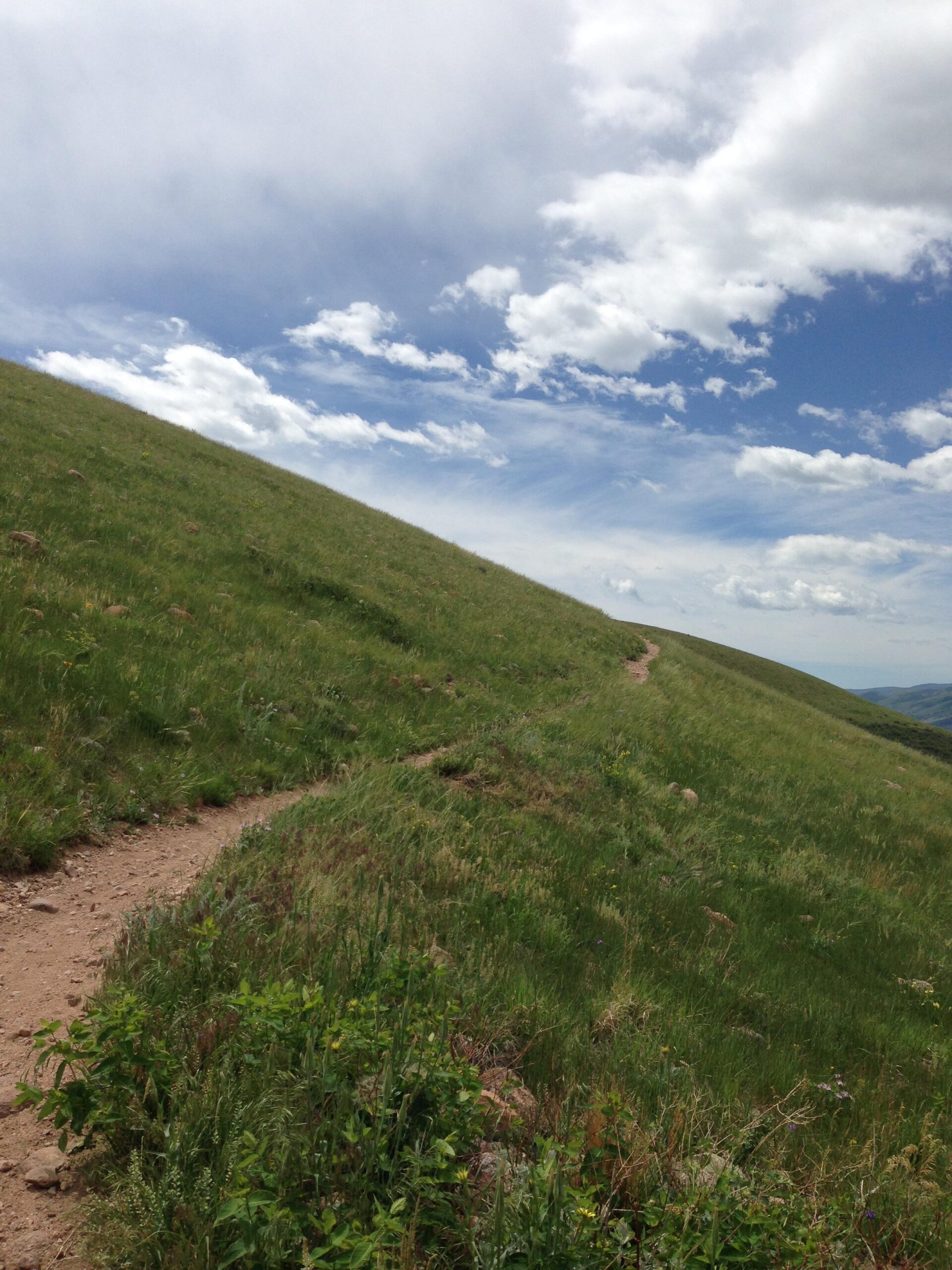 A winding dirt trail leads through a lush green hillside under a partly cloudy blue sky. The landscape features tall grasses and scattered rocks, creating a serene and natural setting for outdoor exploration. Green Mountain mountain bike trail.