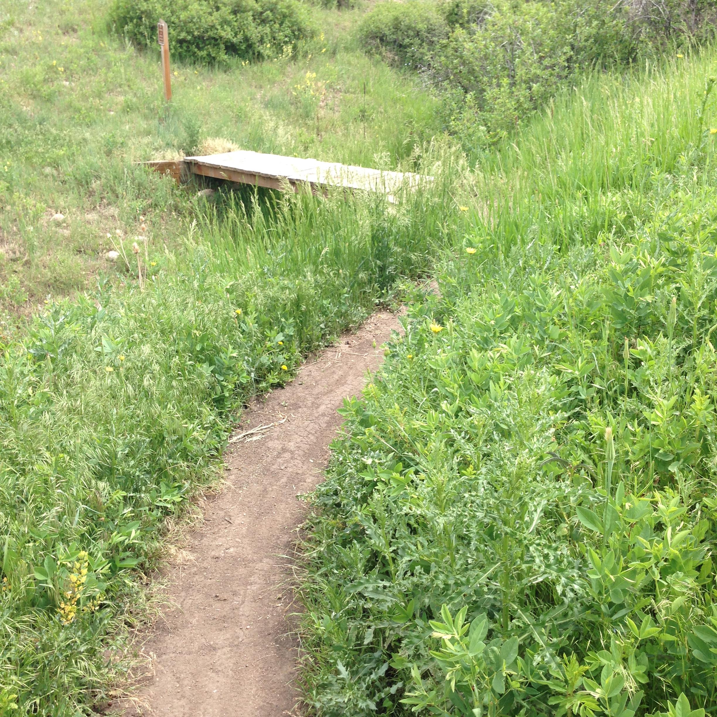 A narrow dirt path winding through lush green vegetation, leading to a wooden bridge. The surrounding area is filled with wild grasses and wildflowers, under a clear sky. A trail marker is visible in the background, indicating the direction for hikers. Green Mountain mountain bike trail.