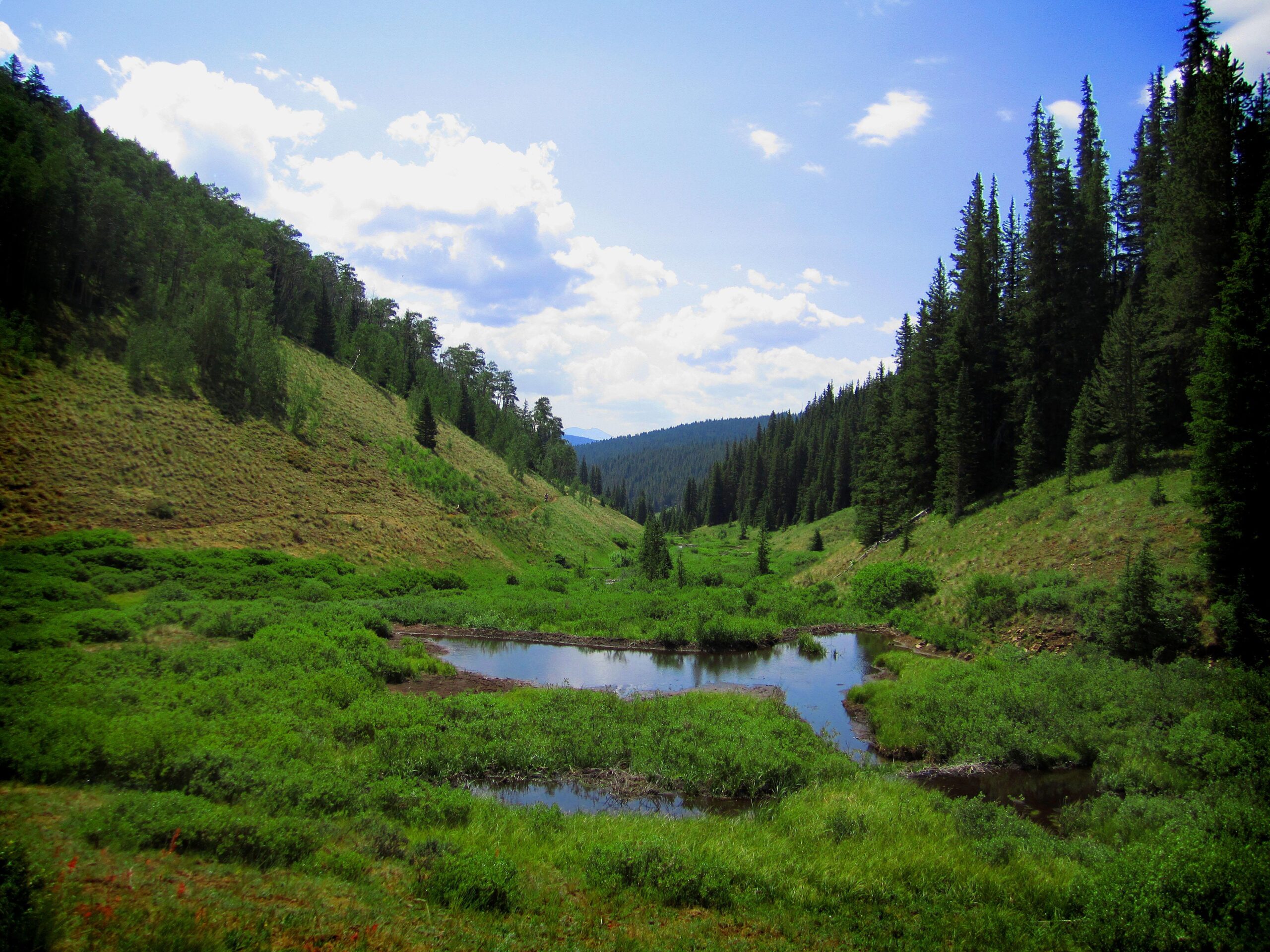A scenic view of a lush green valley surrounded by tall coniferous trees under a partly cloudy blue sky. A small tranquil pond is nestled in the middle of the greenery, reflecting the sky above. The landscape features gentle slopes and patches of vegetation, creating a serene natural environment. Reno / Flag / Bear / Deadman Loop mountain bike trail.