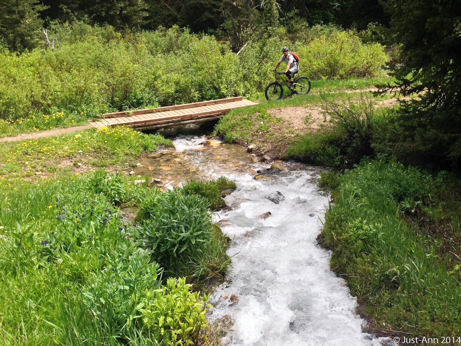 A mountain biker pauses on a dirt trail beside a flowing stream. A wooden bridge crosses the stream, surrounded by lush green vegetation and wildflowers under a bright sky. Cache Creek - Game Creek Loop mountain bike trail.