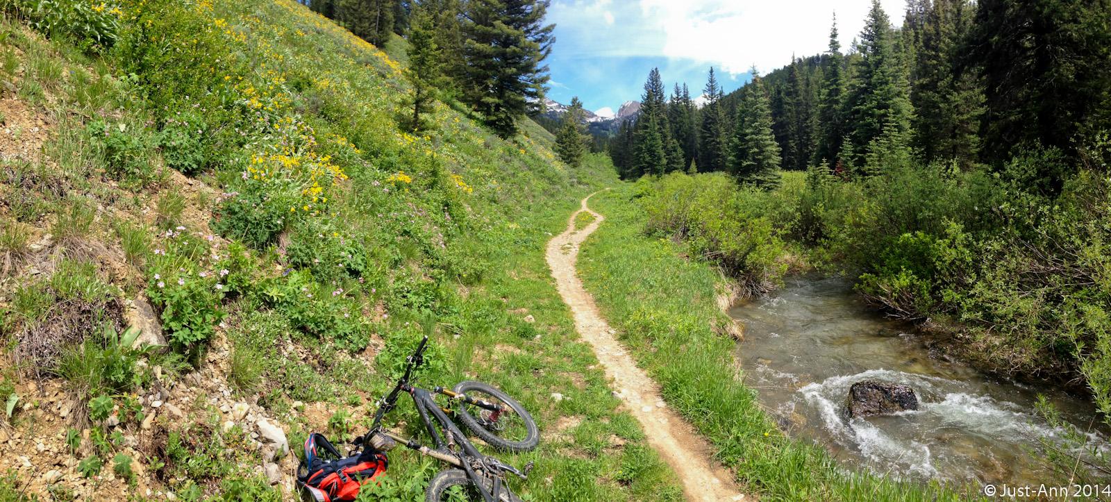 A scenic mountain biking trail surrounded by lush greenery, colorful wildflowers, and a flowing stream. A bicycle lies on the ground next to the path, which curves gently through the landscape, leading into a forested area with distant mountains visible in the background under a blue sky. Cache Creek - Game Creek Loop mountain bike trail.