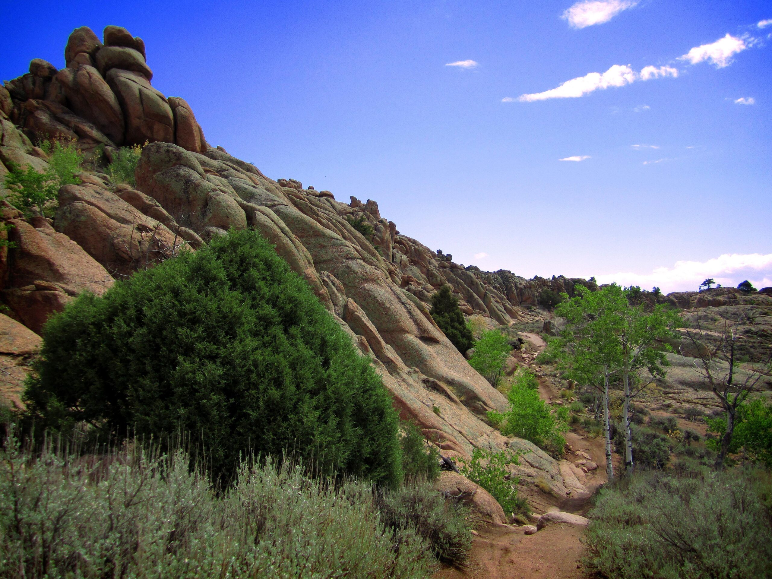 A scenic landscape featuring rocky terrain and a clear blue sky. In the foreground, a bushy green shrub and grasses line a dirt path that meanders among the rocky outcrops. The background showcases rocky formations with trees interspersed throughout, creating a natural and serene atmosphere. Hartman Rocks mountain bike trail.