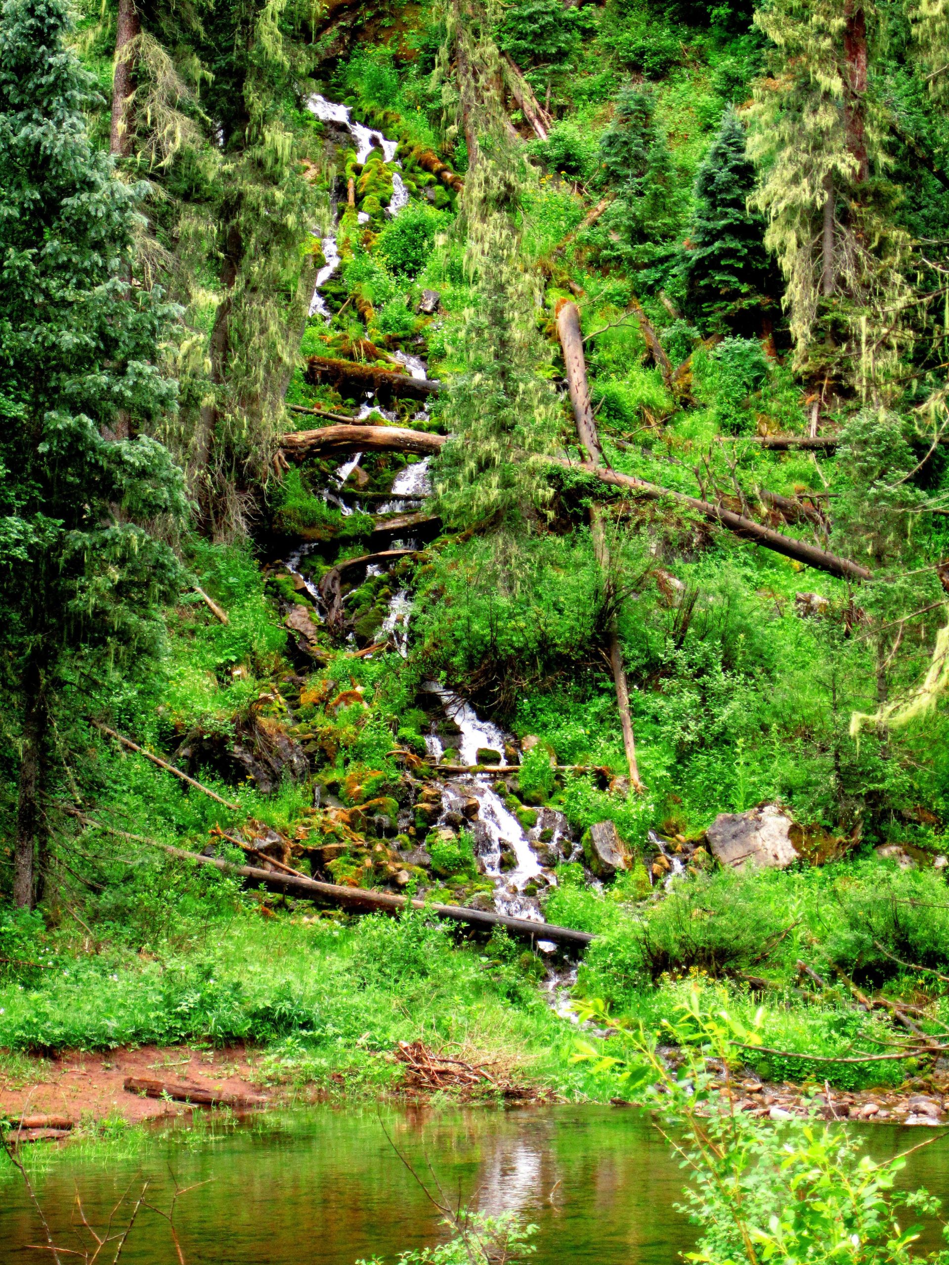 A lush forest scene featuring a cascading waterfall surrounded by greenery, mossy rocks, and fallen logs. A gentle stream flows into a serene pond, reflecting the vibrant landscape. Hermosa Creek Trail mountain bike trail.