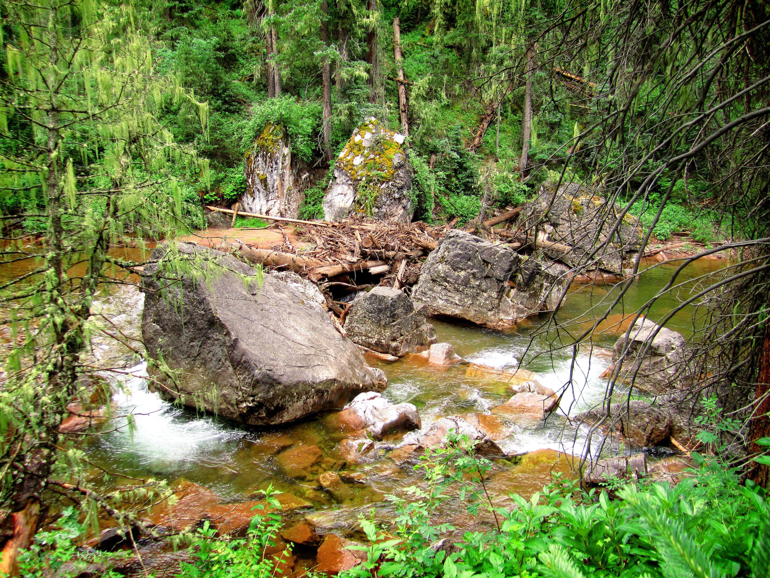 A tranquil forest scene featuring a river flowing over large rocks. Lush greenery surrounds the water, with a variety of trees lining the banks. Some fallen branches and debris can be seen along the shoreline, contributing to the natural landscape. The sunlight filters through the foliage, creating a serene atmosphere. Hermosa Creek Trail mountain bike trail.