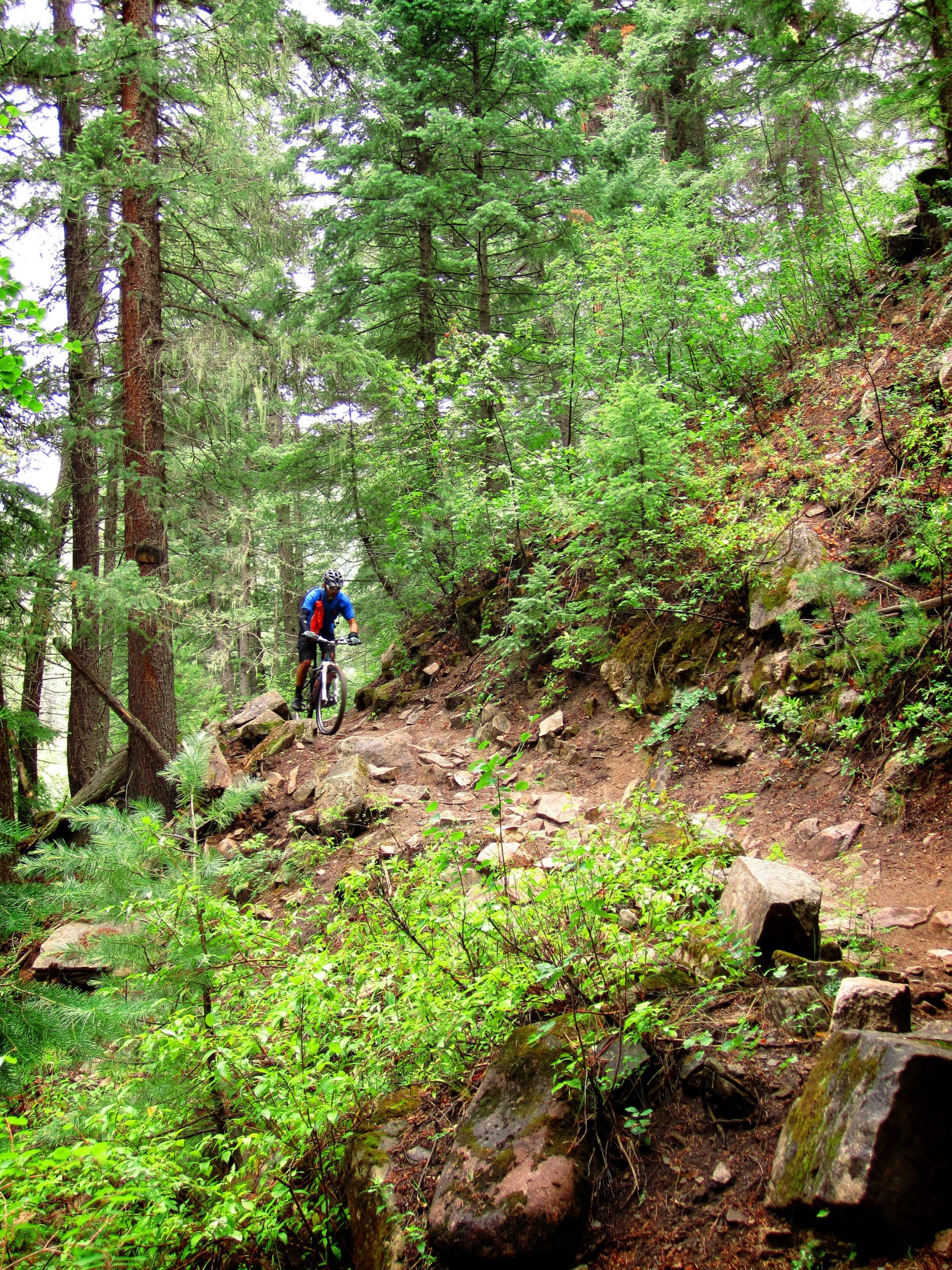 A mountain biker navigating a rocky trail surrounded by lush green trees and foliage in a forested area. Hermosa Creek Trail mountain bike trail.