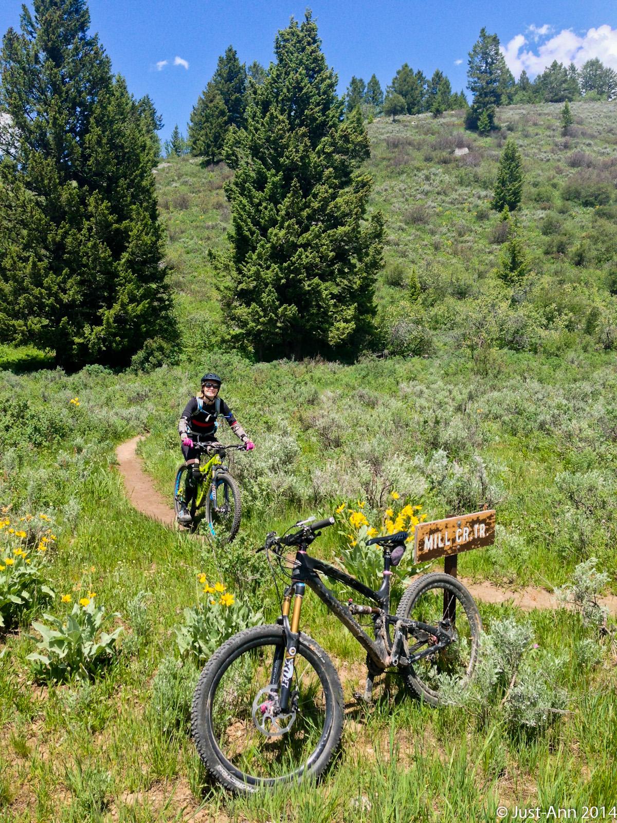 A mountain biker in a helmet and protective gear rides along a winding dirt trail in a lush green landscape, surrounded by trees and wildflowers. In the foreground, a black mountain bike rests next to a wooden sign labeled "Mill Crater." The scene is bright and sunny, showcasing the beauty of outdoor cycling. Mill Creek mountain bike trail.