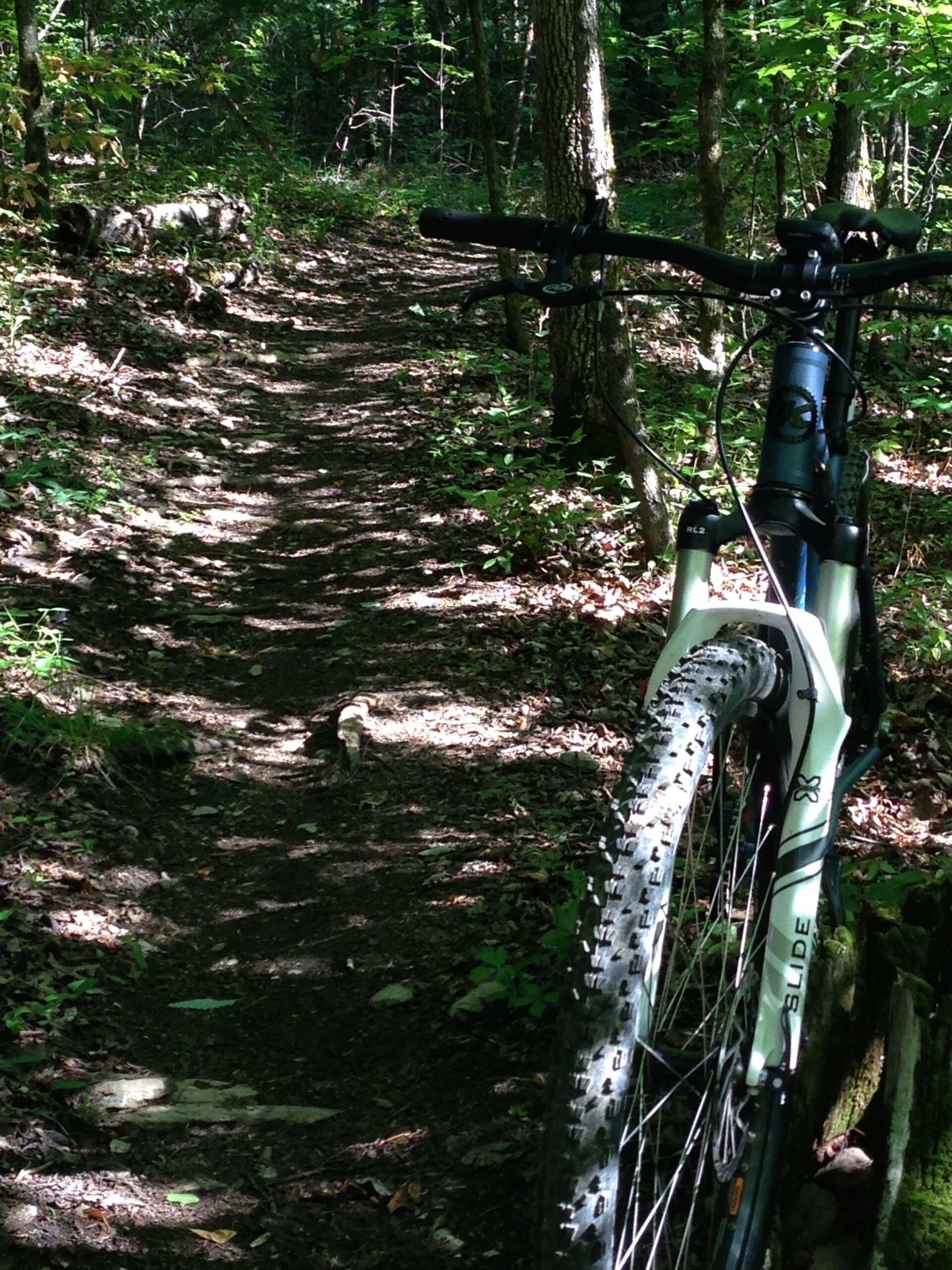 Kona Unit: A close-up view of a mountain bike parked on a narrow dirt trail surrounded by trees and vegetation. The sun is shining, casting dappled light on the path, which is lined with leaves and small stones. The bike's front tire and part of the handlebars are visible in the foreground, with the trail winding deeper into the forest.