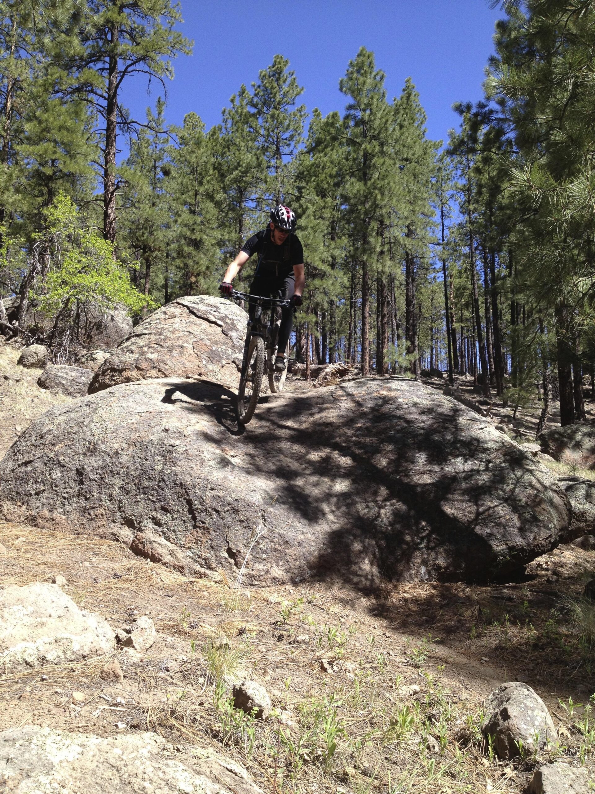 A mountain biker navigating over a large rock on a forest trail, surrounded by tall pine trees and a clear blue sky. Fort Valley Trail System mountain bike trail.