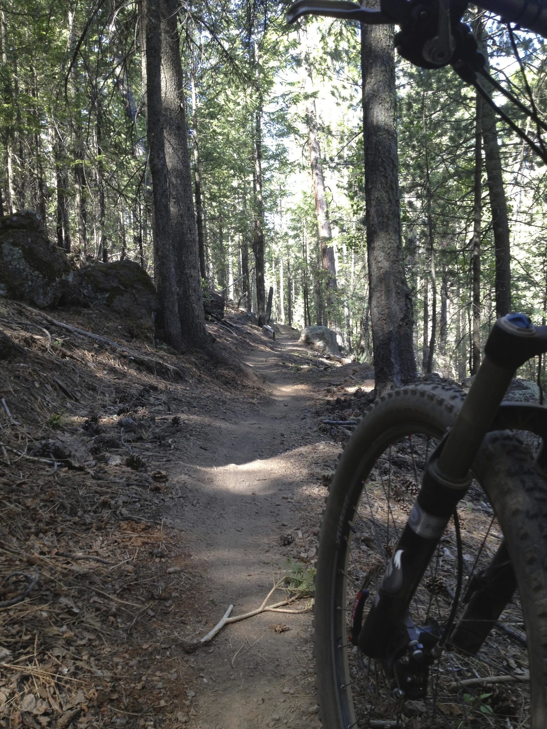 Mountain biking trail winding through a forest, with a close-up view of a bike tire in the foreground and tall trees lining the path. Sunlight filters through the branches, illuminating the dirt trail and surrounding foliage. Arizona Trail: Flagstaff mountain bike trail.