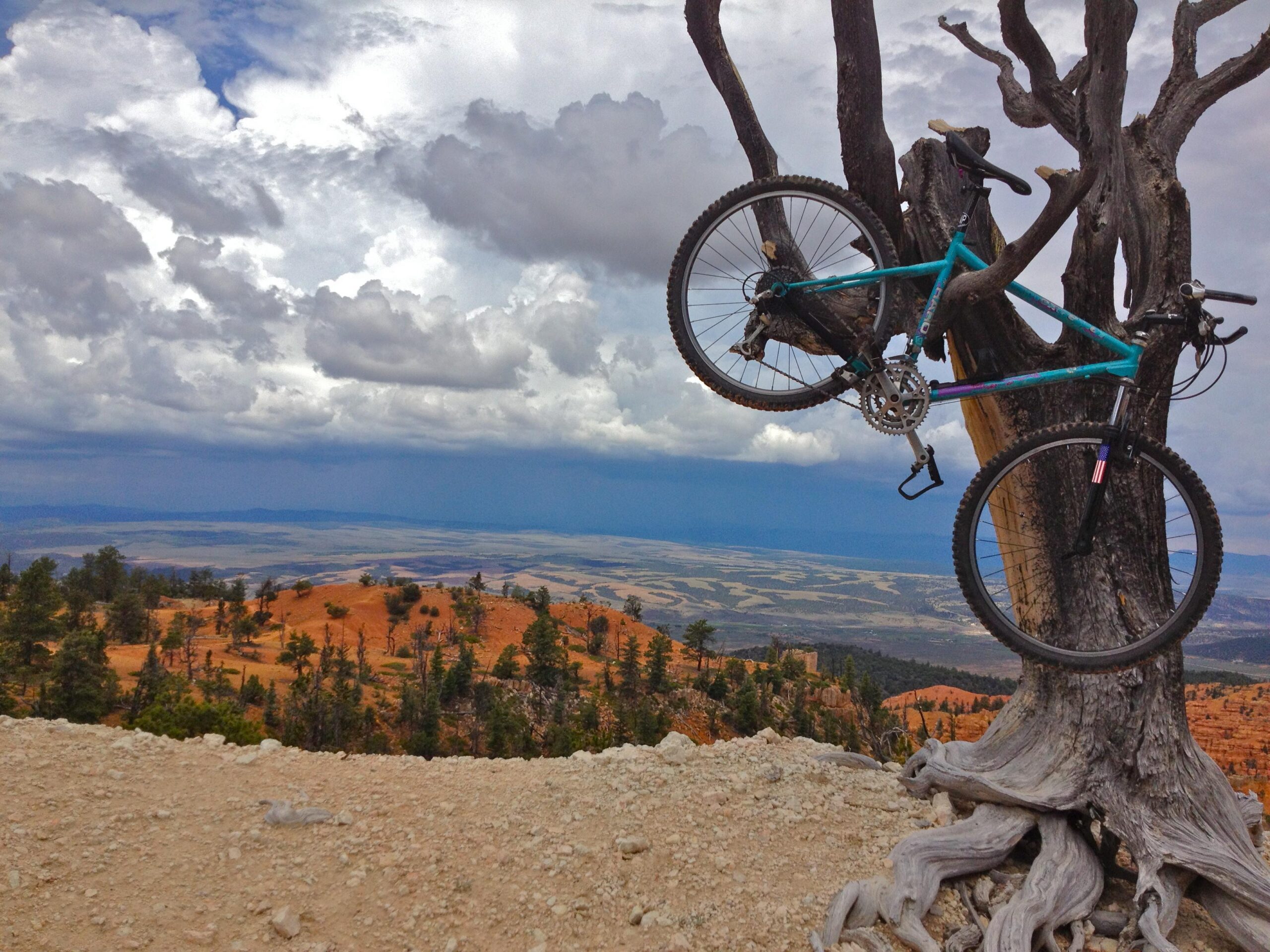 A mountain bike is suspended from a gnarled tree branch, overlooking a vast landscape of rolling hills and distant mountains. The sky is filled with dramatic clouds, creating a moody atmosphere. The foreground features sandy terrain and patches of green trees, while the background showcases layers of colored earth and expansive views. Thunder Mountain mountain bike trail.