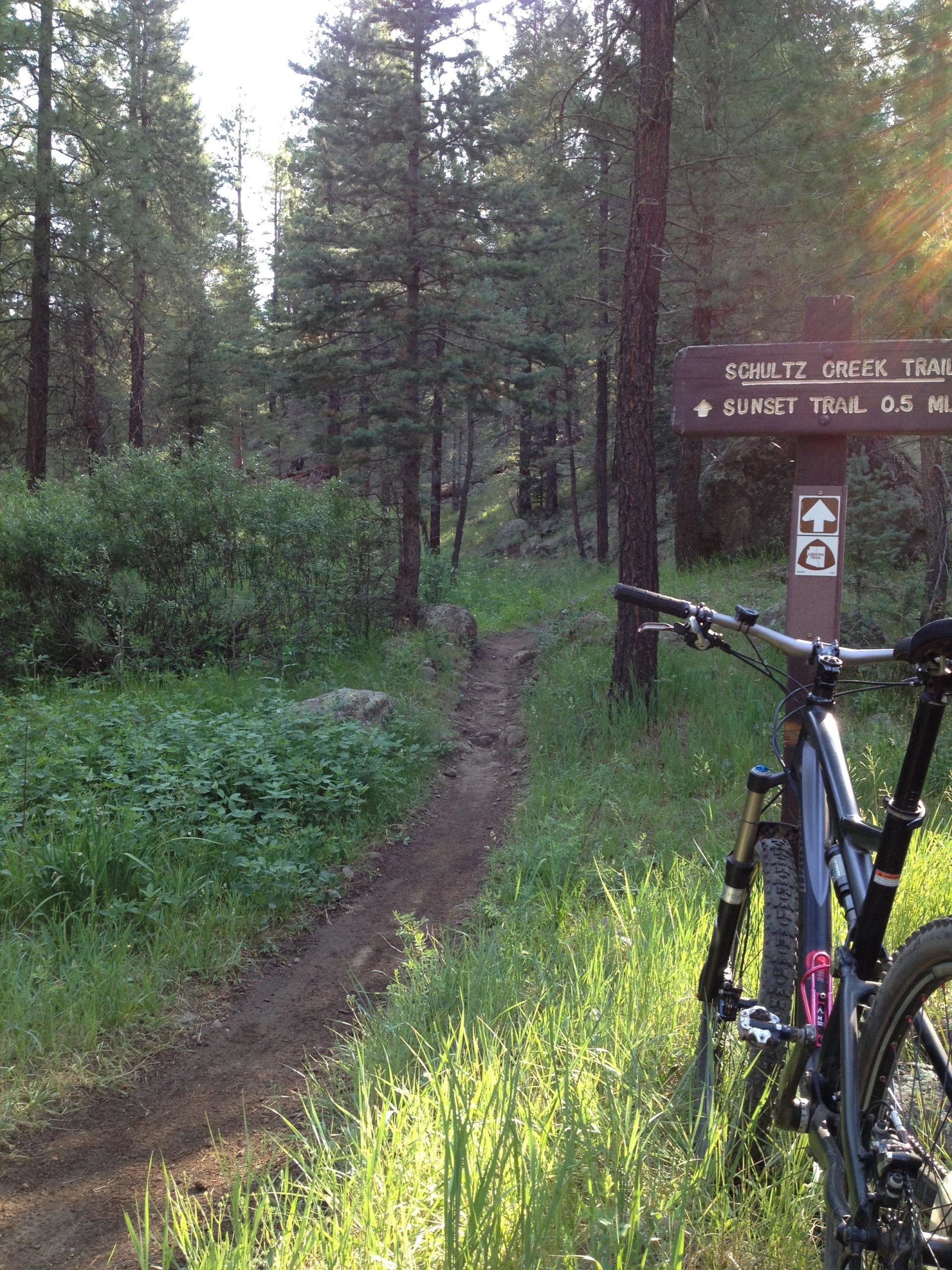 A mountain bike rests beside a trail sign directing hikers to the Schultz Creek Trail and Sunset Trail. The scene is set in a lush forest with tall pine trees and sunlight filtering through the branches, casting a warm glow on the path and surrounding greenery. Schultz Creek mountain bike trail.