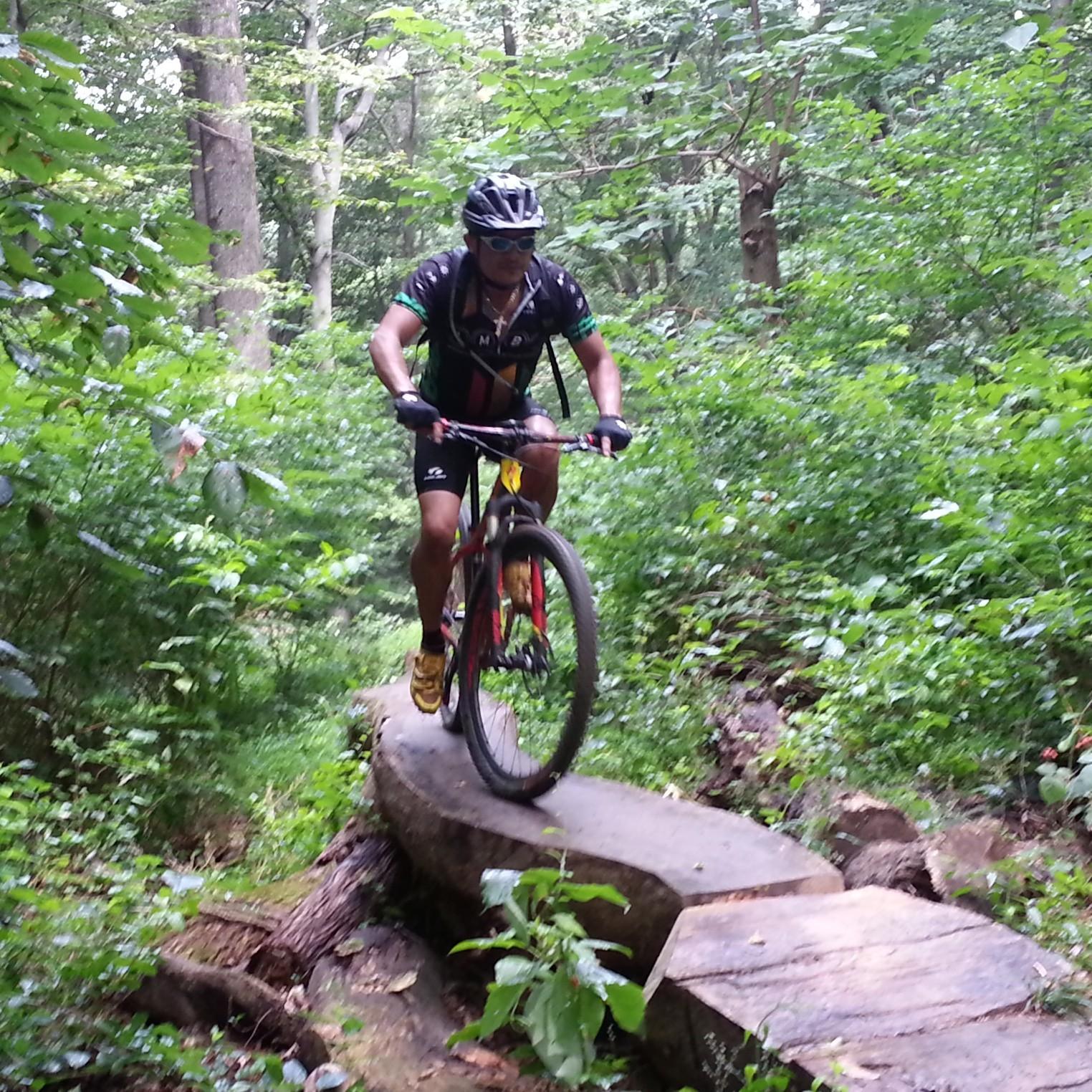 A mountain biker navigating a rocky trail surrounded by dense greenery. The cyclist is balancing on a log bridge, wearing a helmet and sunglasses, with a focused expression as they maneuver through the forest. White Clay Creek mountain bike trail.