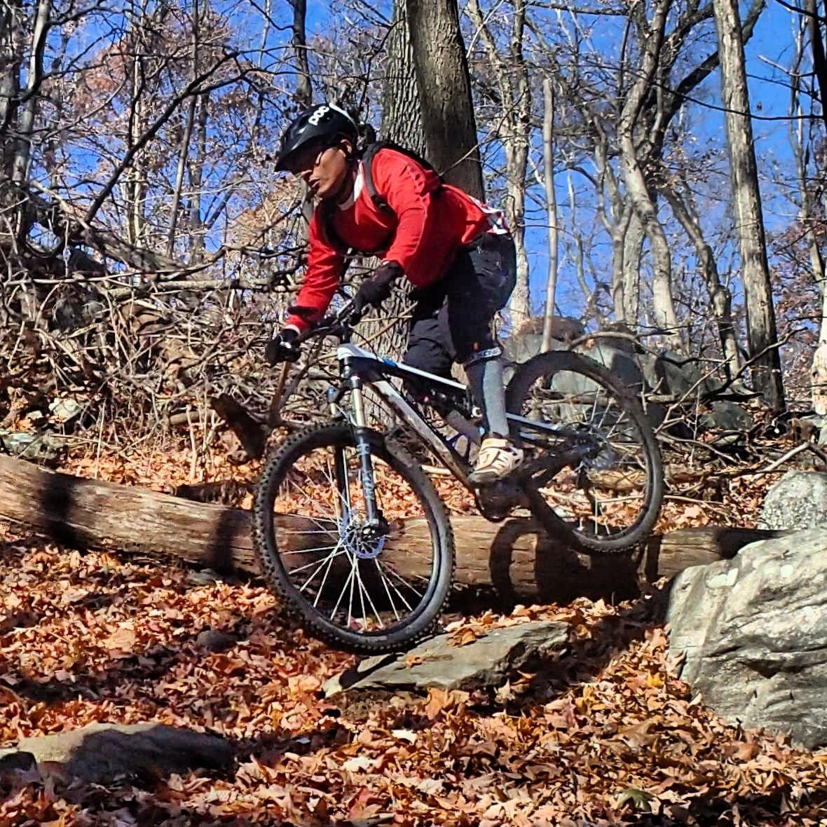 A mountain biker in a red jacket and black shorts is skillfully navigating over a fallen log in a forested area. Surrounding the biker are colorful autumn leaves, rocks, and trees under a clear blue sky. Sprain Ridge mountain bike trail.