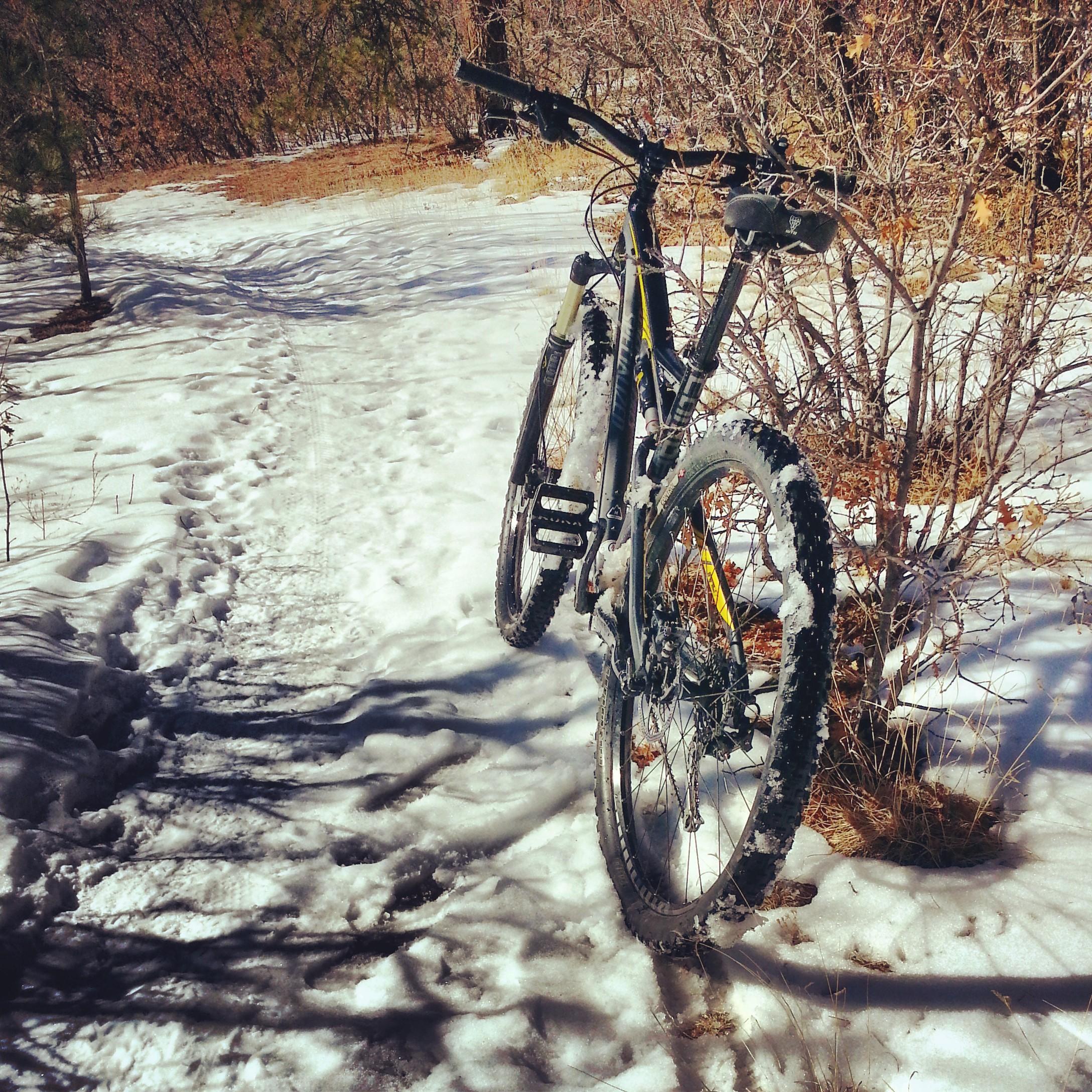 Specialized Camber 29: A mountain bike leans against a bush on a snow-covered trail, surrounded by a winter landscape with patches of grass and trees in the background. The bike's tires show signs of snow and mud, indicating recent use in snowy conditions.