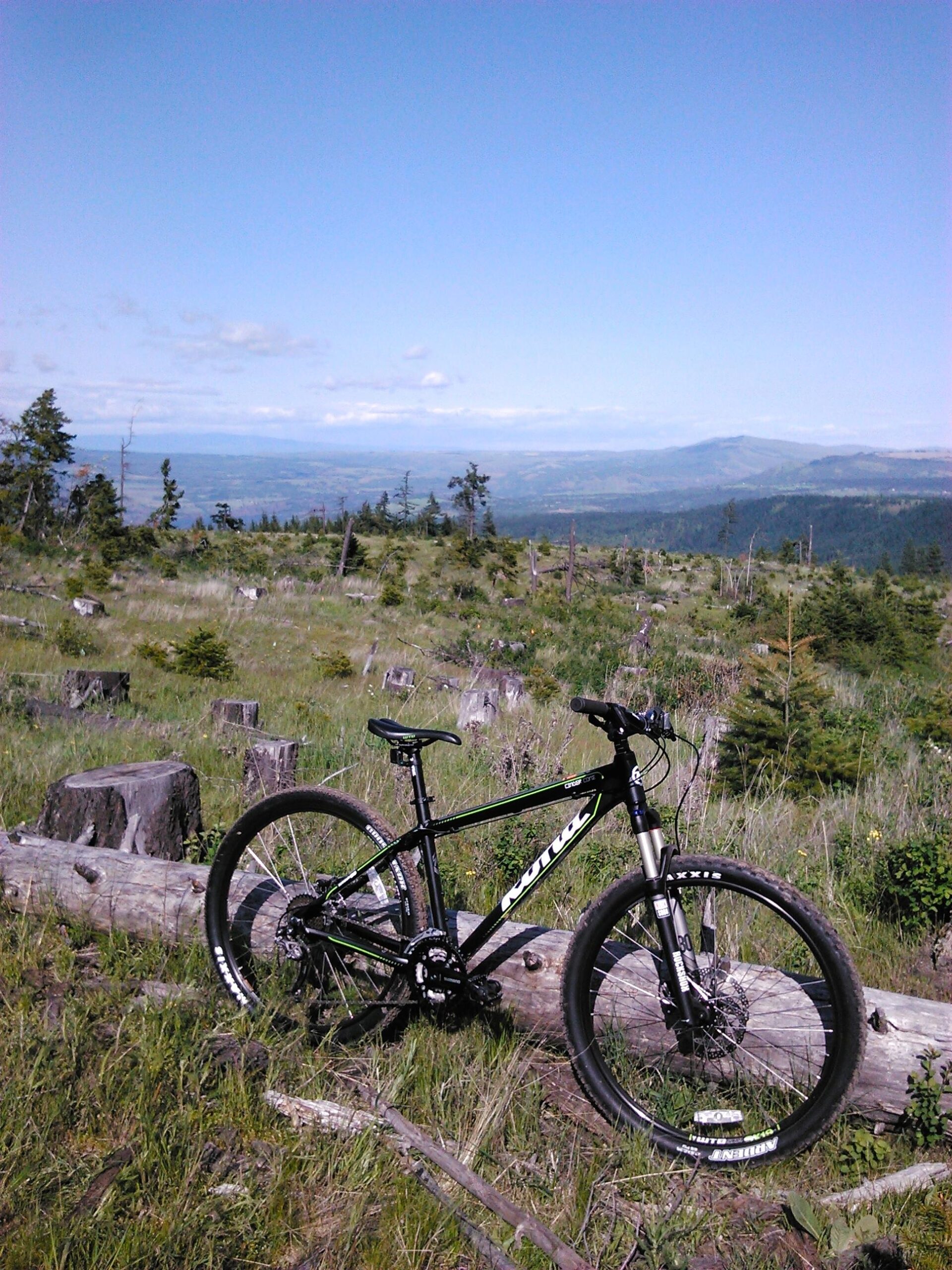 Kona Cinder Cone: A black mountain bike is leaning against a fallen log in a lush, green landscape. The scene features rolling hills and a clear blue sky, with scattered clouds in the distance. Stumps and young trees are visible throughout the grassy area, suggesting recent logging activity.