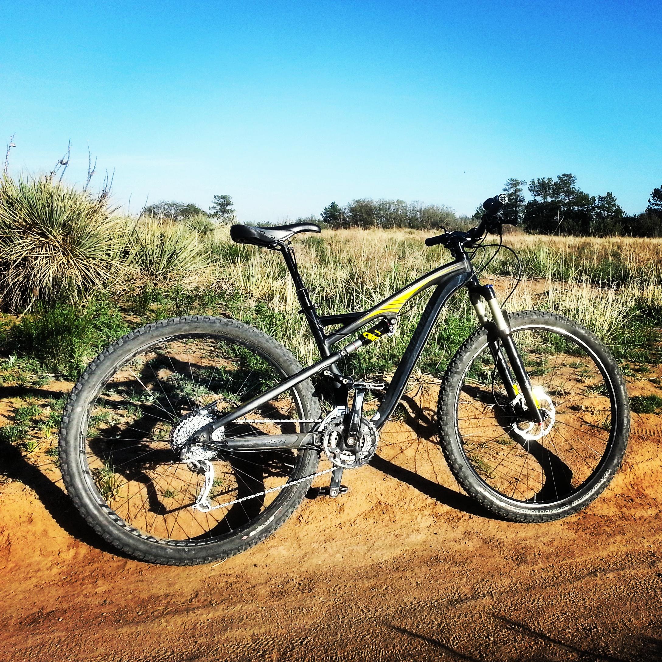 Specialized Camber 29: A mountain bike resting on a dirt trail surrounded by tall grass and sparse trees under a clear blue sky.