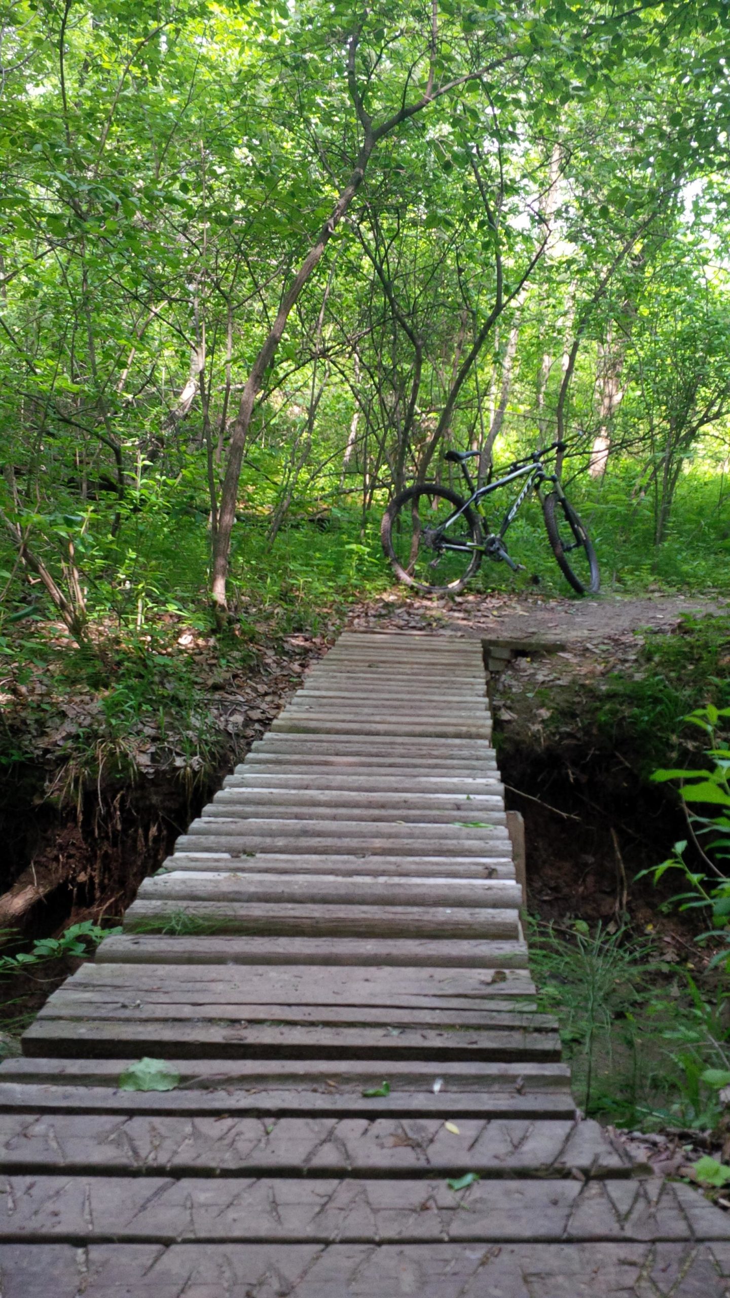 A narrow wooden bridge spanning a small ravine in a lush green forest, with a mountain bike parked on the side. The scene is filled with trees and foliage, emphasizing the tranquility of nature. Baird Creek mountain bike trail.