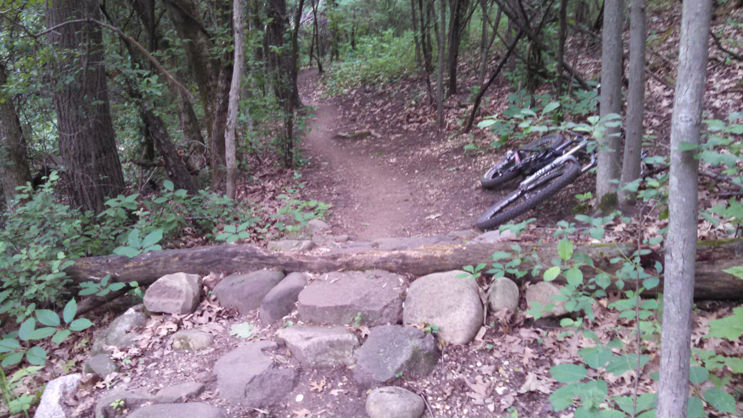 A dirt biking trail in a wooded area, featuring a log bridge made of a fallen tree and a rocky incline. A pair of mountain bikes are resting on the ground next to the path, surrounded by green foliage and scattered leaves on the ground. Emma Carlin mountain bike trail.