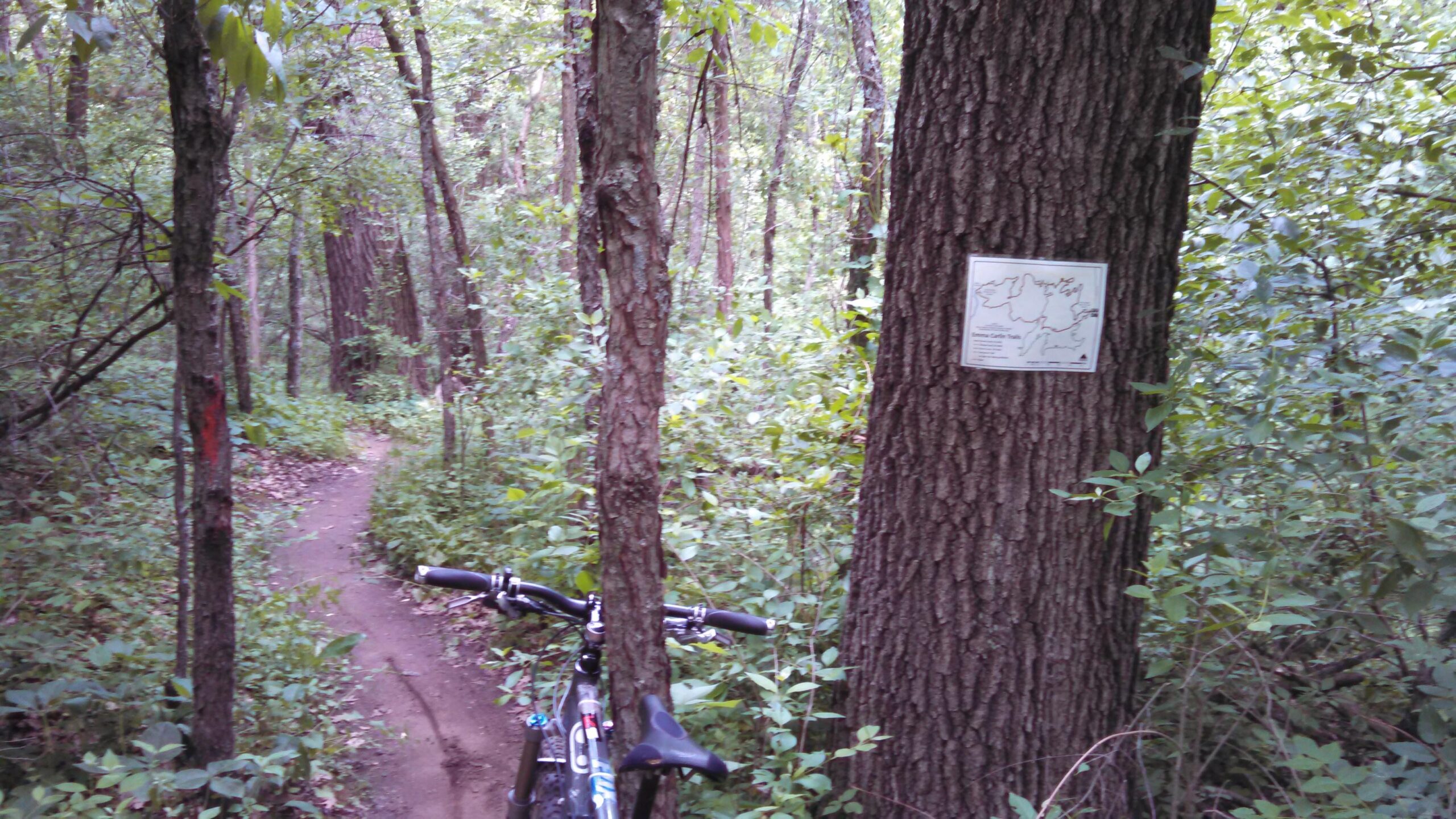 A winding dirt trail through a lush, green forest, with a mountain bike parked next to a tree. A trail map is mounted on the tree, providing information about the surrounding trails. Emma Carlin mountain bike trail.