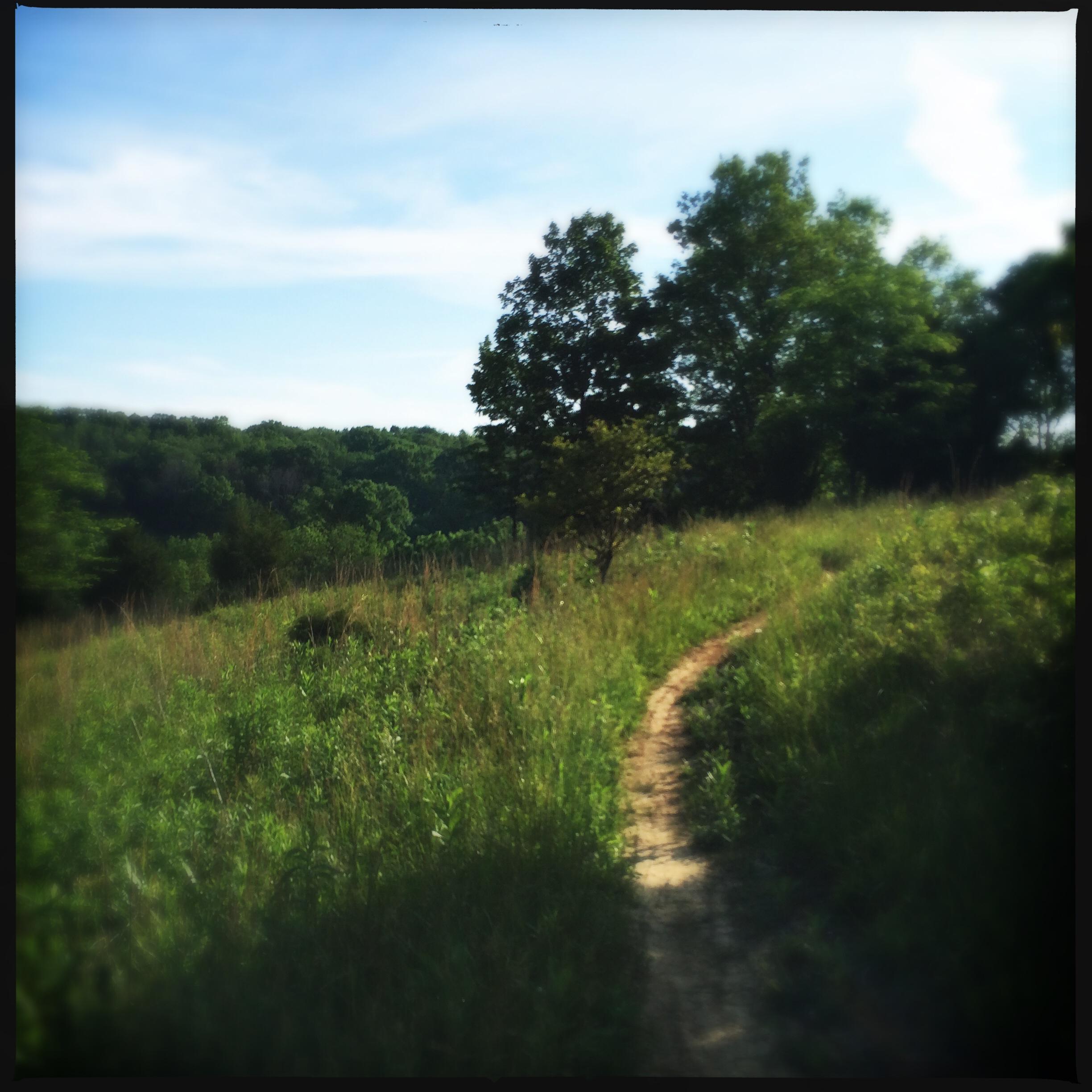 A winding dirt path through lush green grass and scattered trees, with a backdrop of rolling hills and a clear blue sky. Skullbuster mountain bike trail.