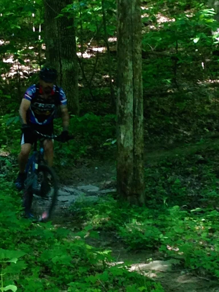 A mountain biker navigating a rocky trail surrounded by lush green foliage and trees in a dense forest. Skullbuster mountain bike trail.
