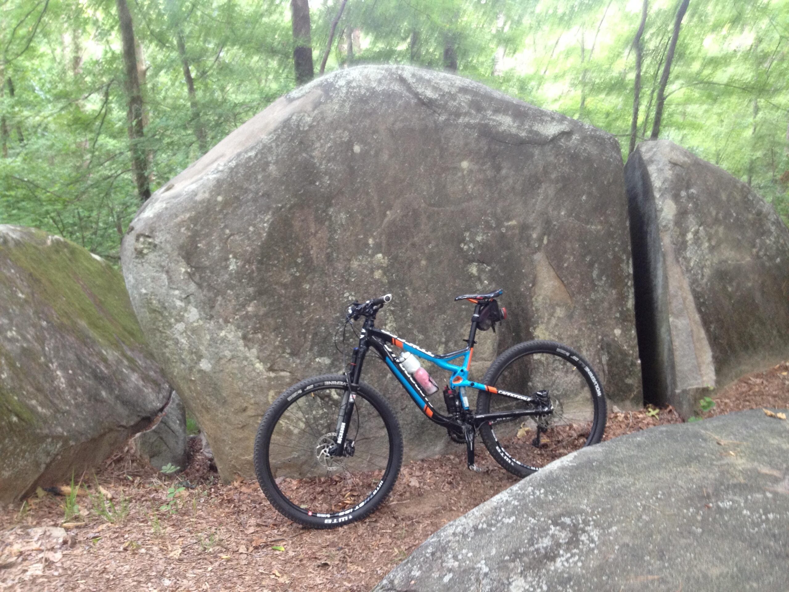 Cannondale Trigger: A mountain bike parked near large boulders in a wooded area. The ground is covered with leaves, and the surrounding trees create a lush green backdrop.