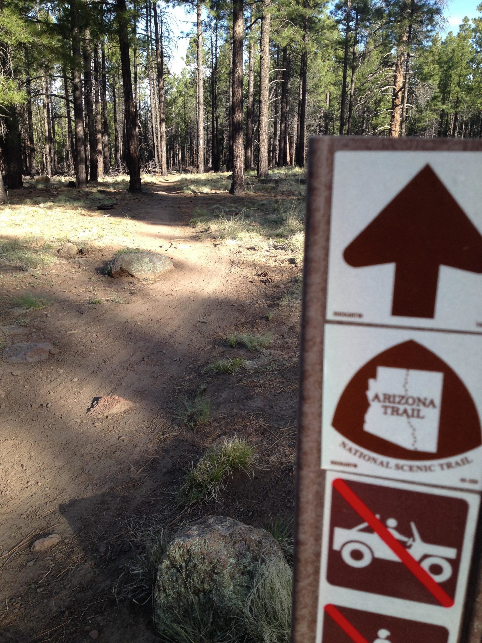 A trail sign for the Arizona Trail, featuring an upward arrow, situated in a forested area with tall trees. A dirt path can be seen leading into the woods, bordered by rocks and patches of grass. The sign also includes symbols indicating restrictions on motor vehicle use. Arizona Trail: Flagstaff mountain bike trail.