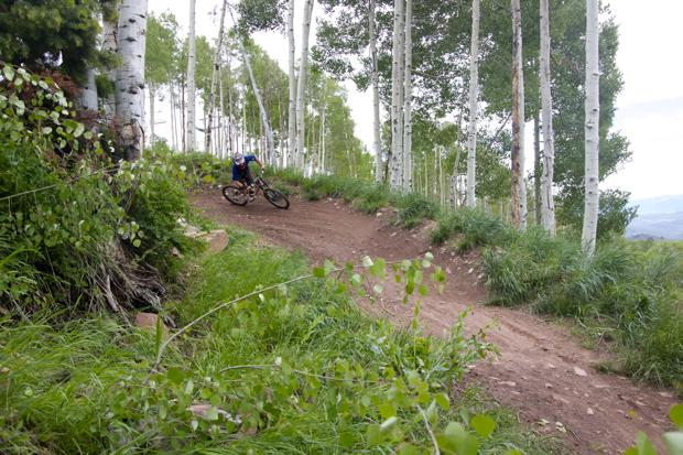A mountain biker navigates a curved dirt trail surrounded by tall aspen trees and lush green vegetation. The bike is angled as the rider leans into the turn, showcasing an action shot in a natural forested setting. Flying Salmon mountain bike trail.