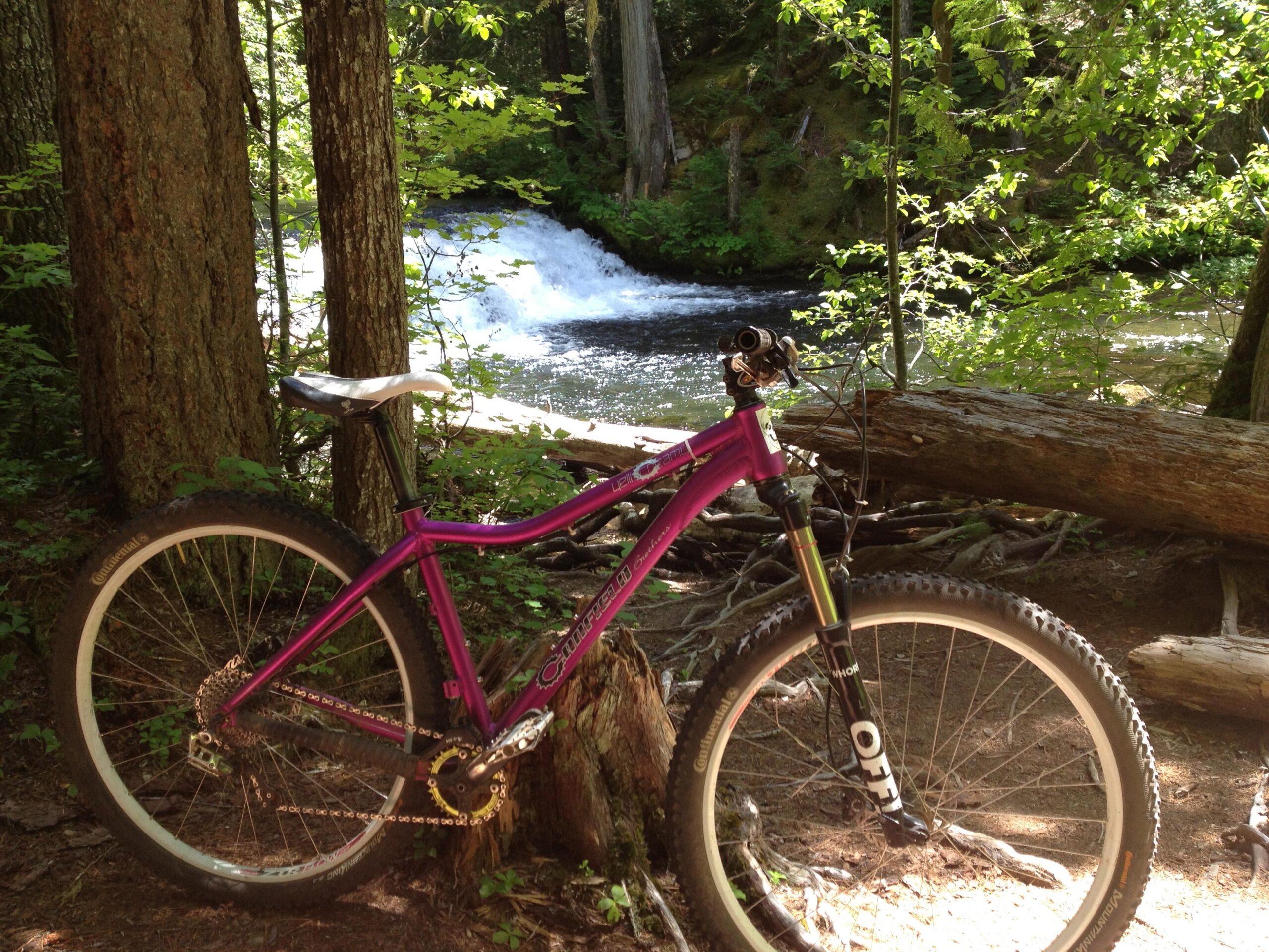 Canfield Brothers Yelli Screamy: A vibrant pink mountain bike resting against a tree, with a small stream and greenery in the background. The scene captures a peaceful outdoor setting, featuring lush foliage and the gentle flow of water.