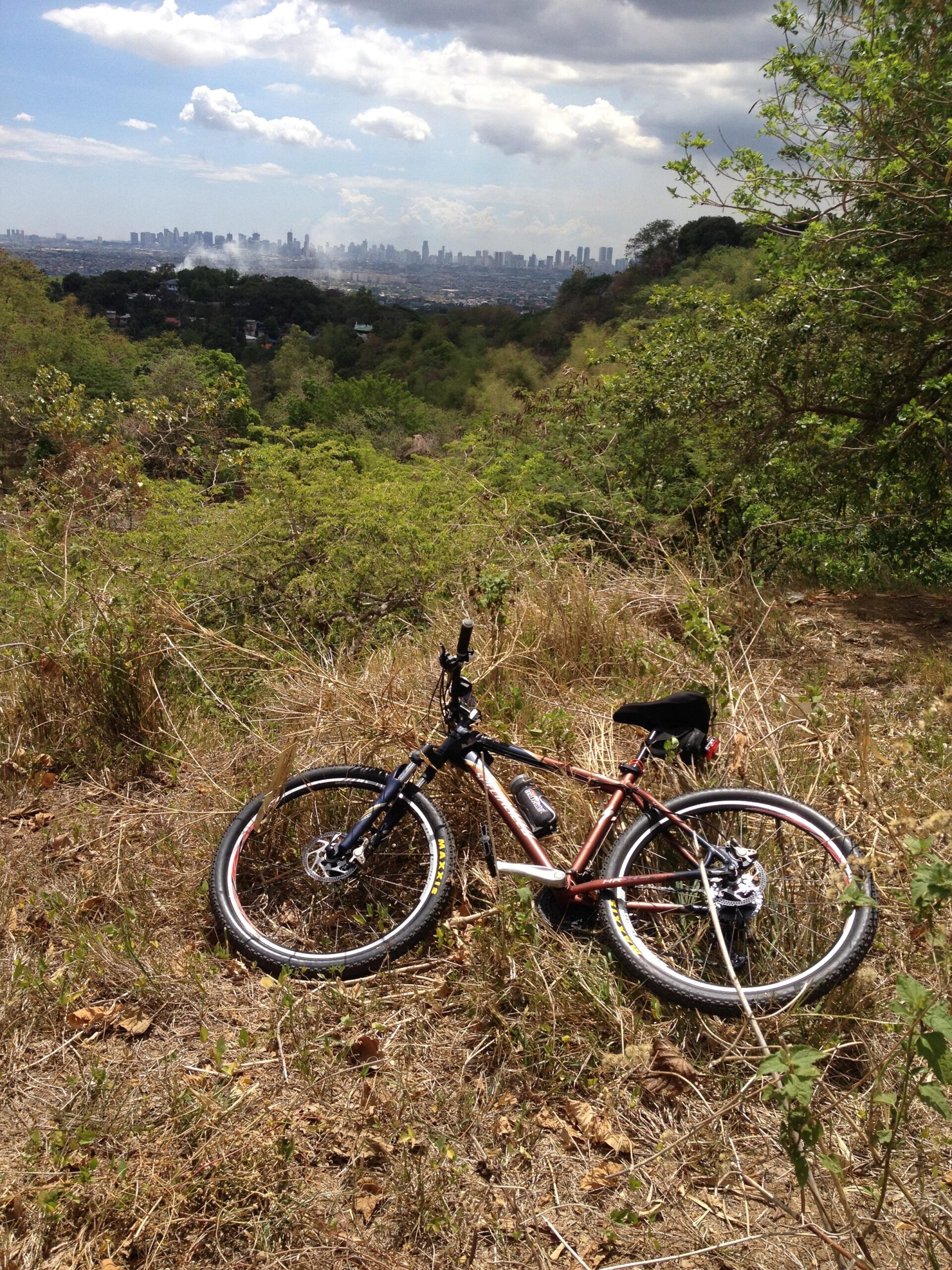 Specialized hardrock: A mountain bike resting on dry grass, with a scenic view of a city skyline in the background under a partly cloudy sky. Trees and vegetation surround the bike, highlighting the natural setting.