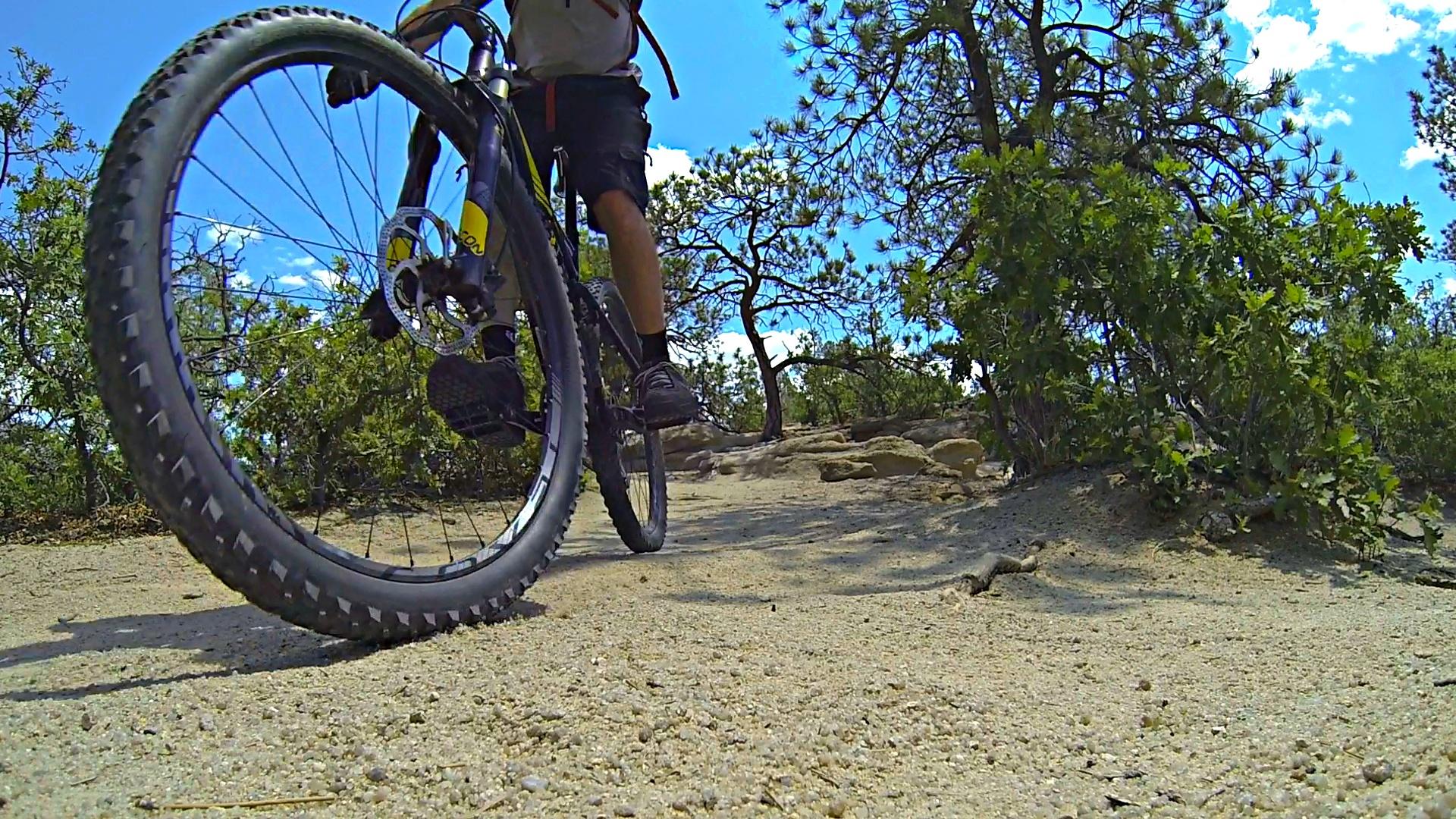 A close-up view of a mountain bike tire on a sandy trail surrounded by greenery and trees, with a clear blue sky above. The rider's foot can be seen on the pedal, indicating an active riding position. Palmer Park mountain bike trail.
