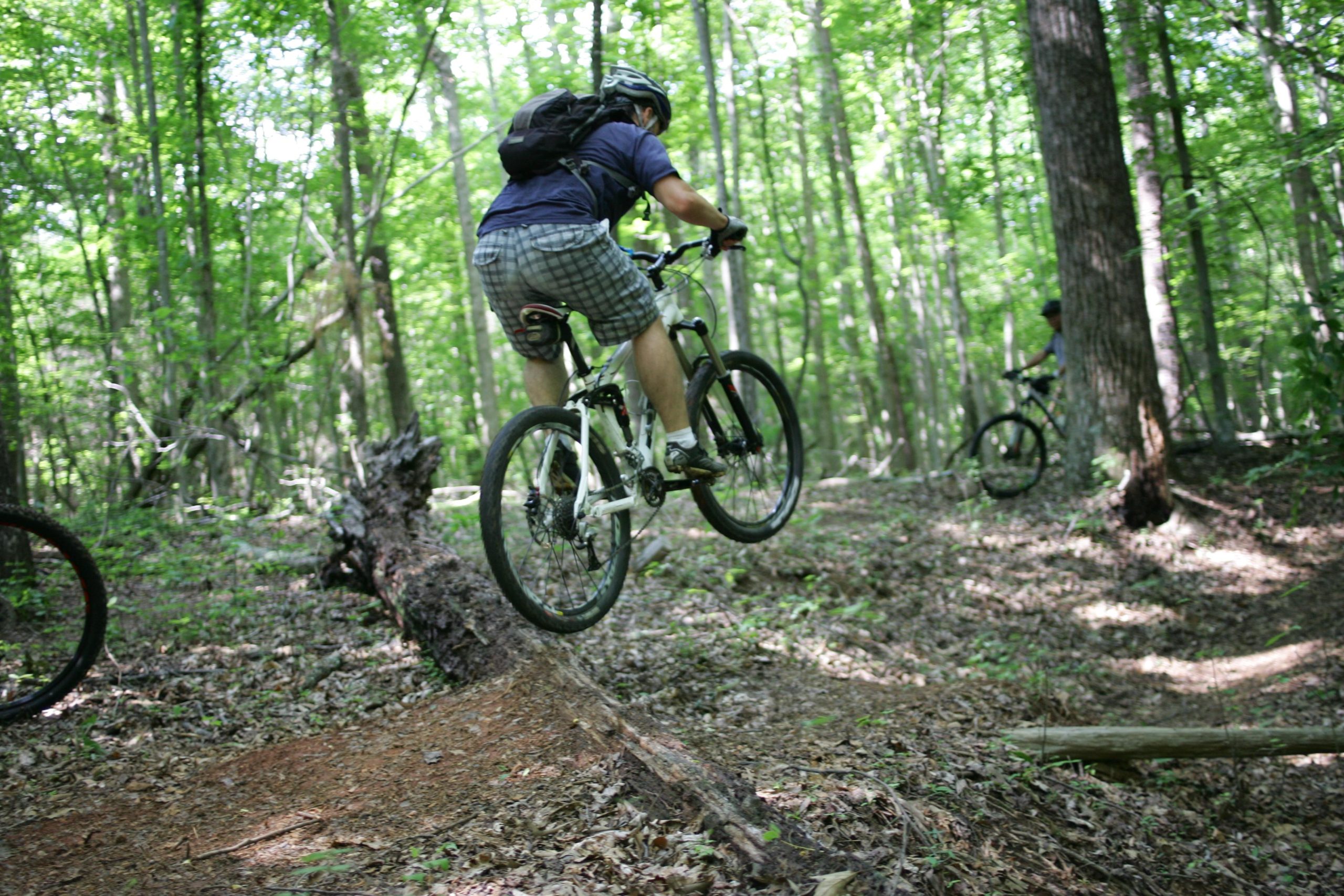 A mountain biker performing a jump over a fallen log on a dirt trail in a dense, green forest. Sunlight filters through the trees, creating a vibrant natural backdrop. Another biker is visible in the background, navigating the trail. Salem Lake mountain bike trail.
